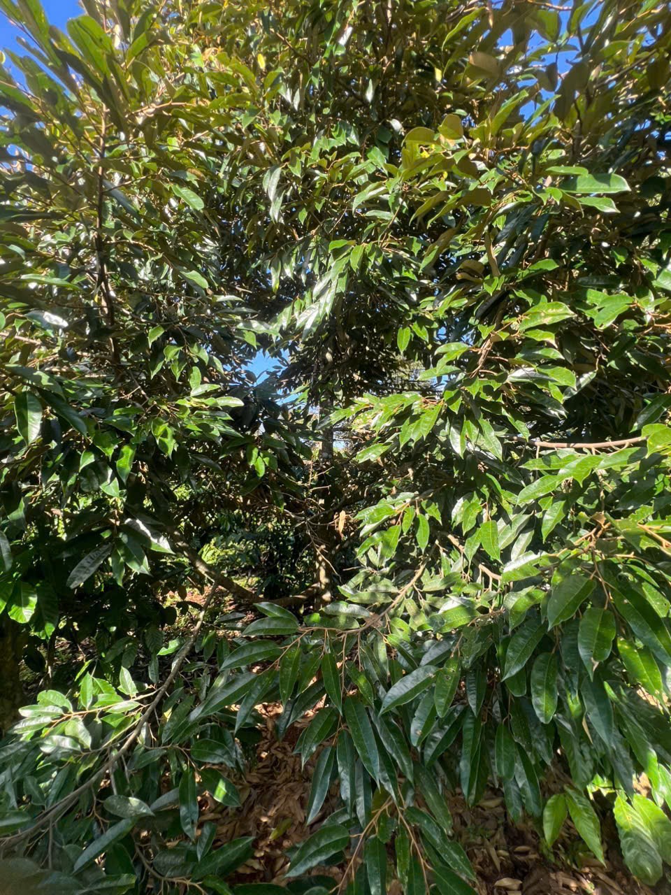 z7334733854696_16c167ad7daf5250d26e26521b199e09