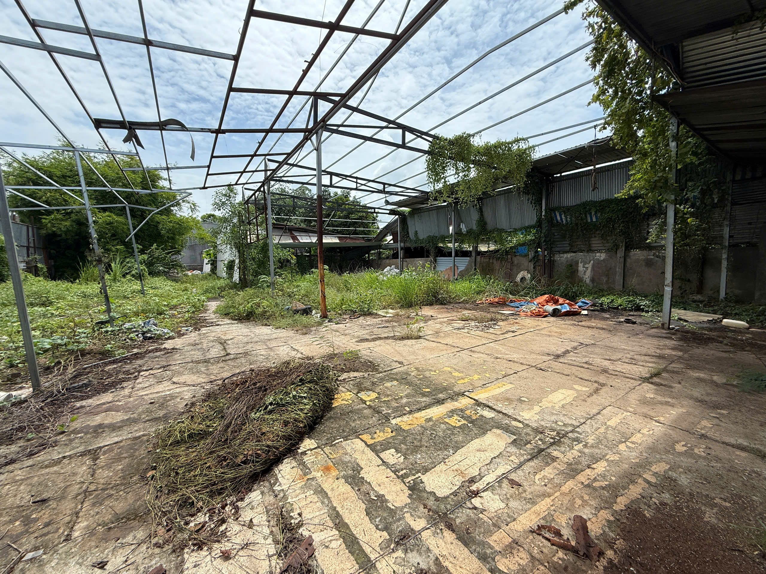 z7334907701479_c1037df559ac66b1d93804407fd98e4a