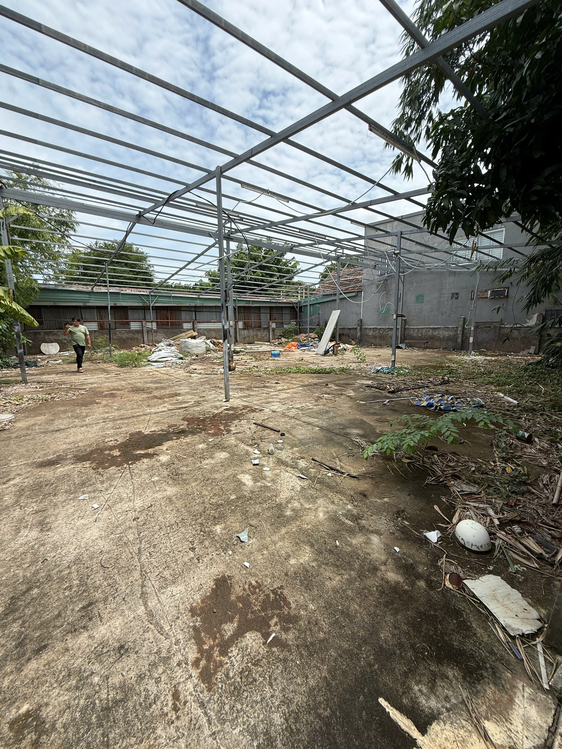 z7334907709214_28af3d0128e5265a61626dfda55b708a