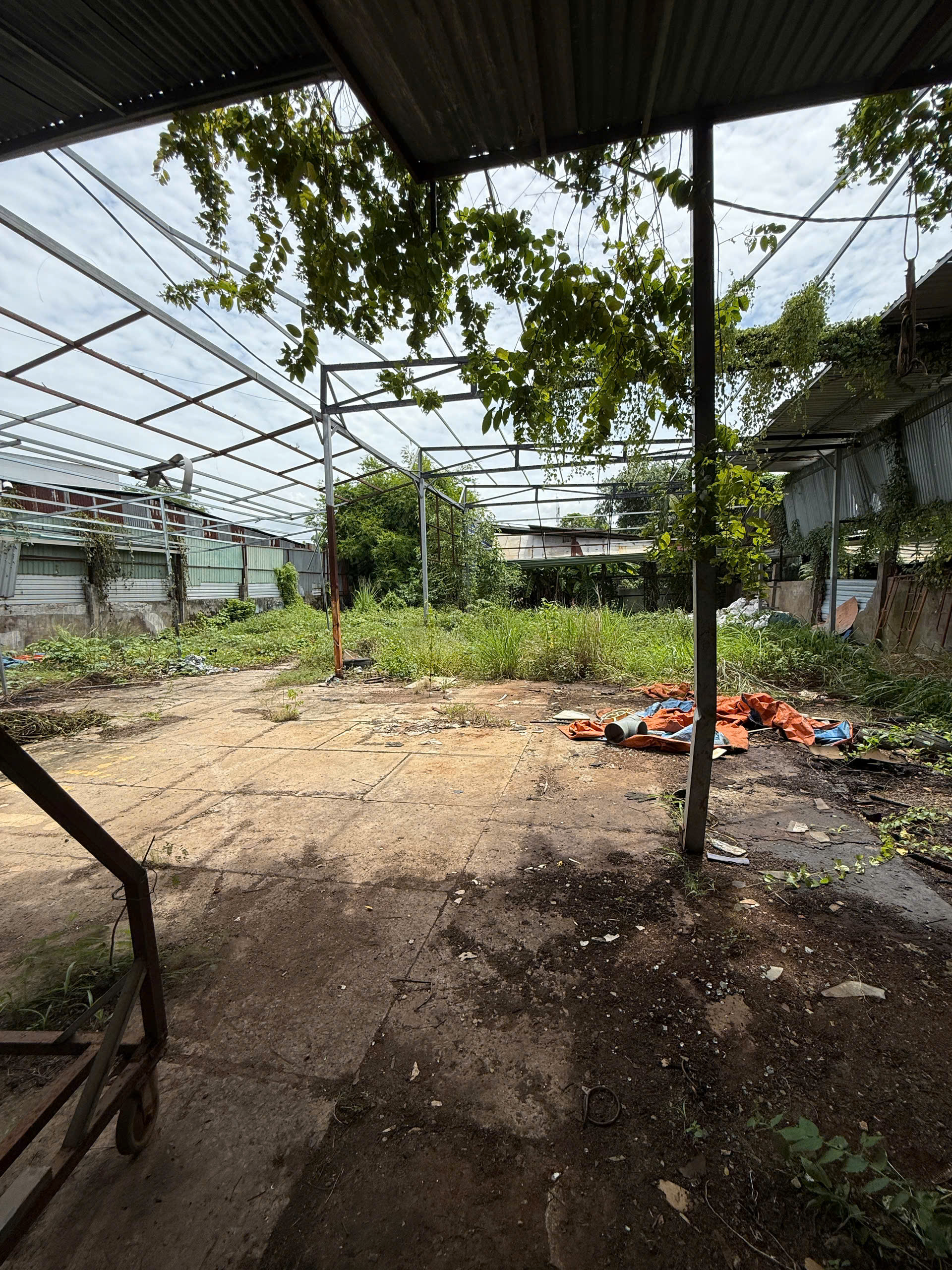 z7334907759126_ab90ba6ddd564dd8445016bf6b730042