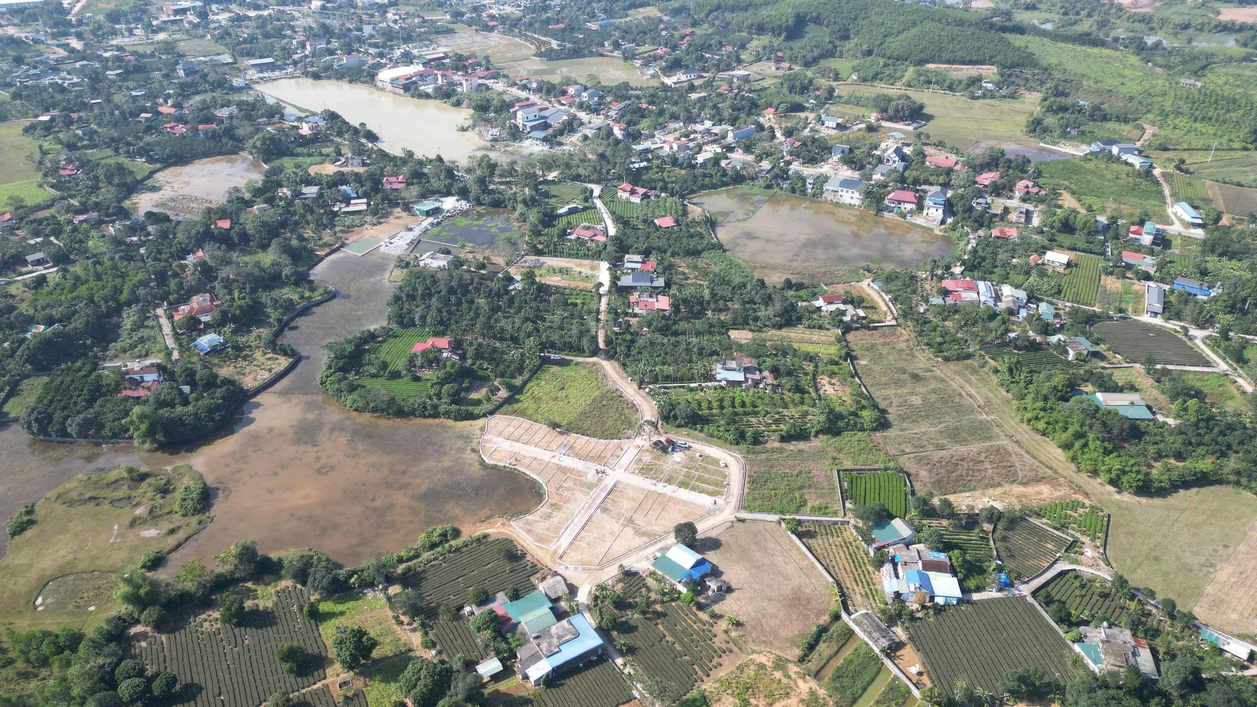 z7335711808379_6d225f45fc1ffc38165137cd17939045