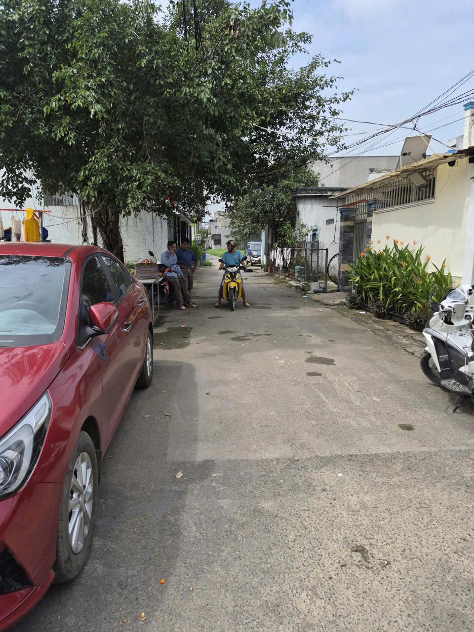 z7336472252837_e8a38cde10d5ffdb430a3ee7167a452c