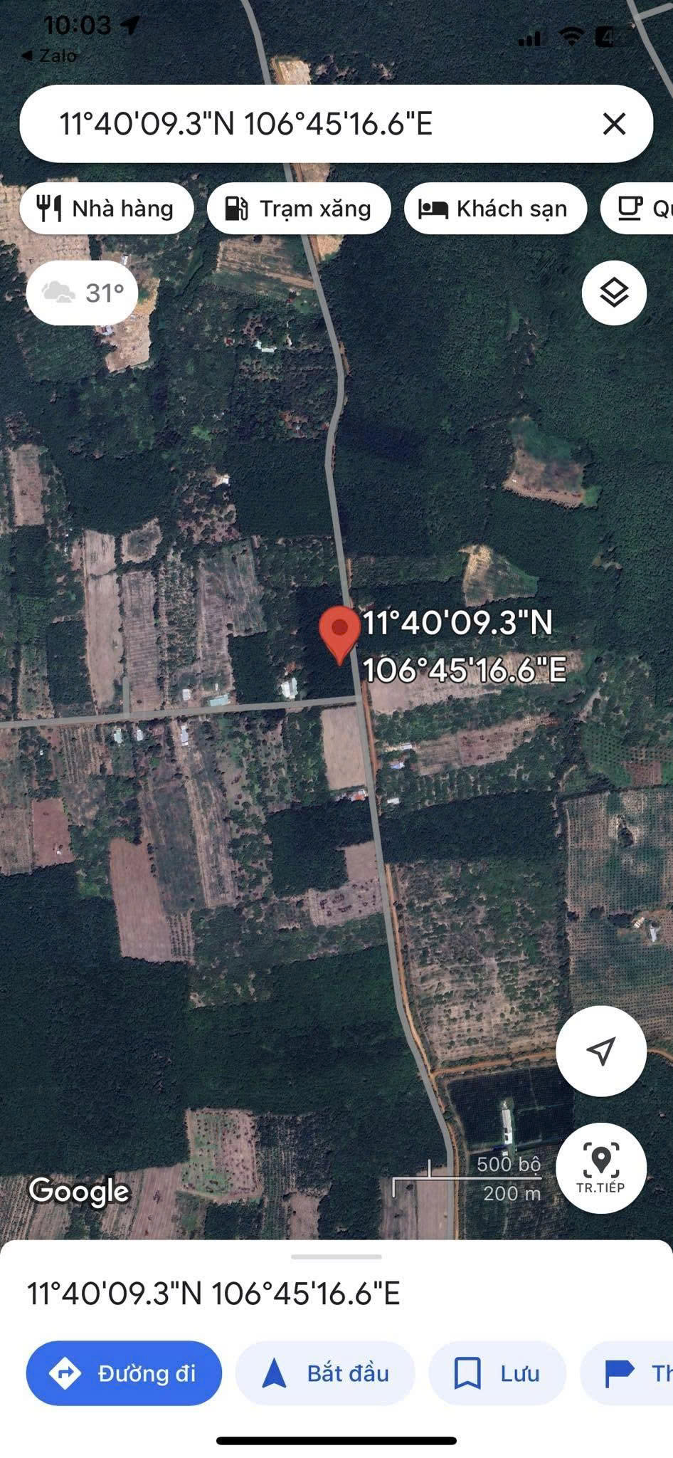 z7336578197535_01657d9e9396af8d5b03b4aa20850ae4