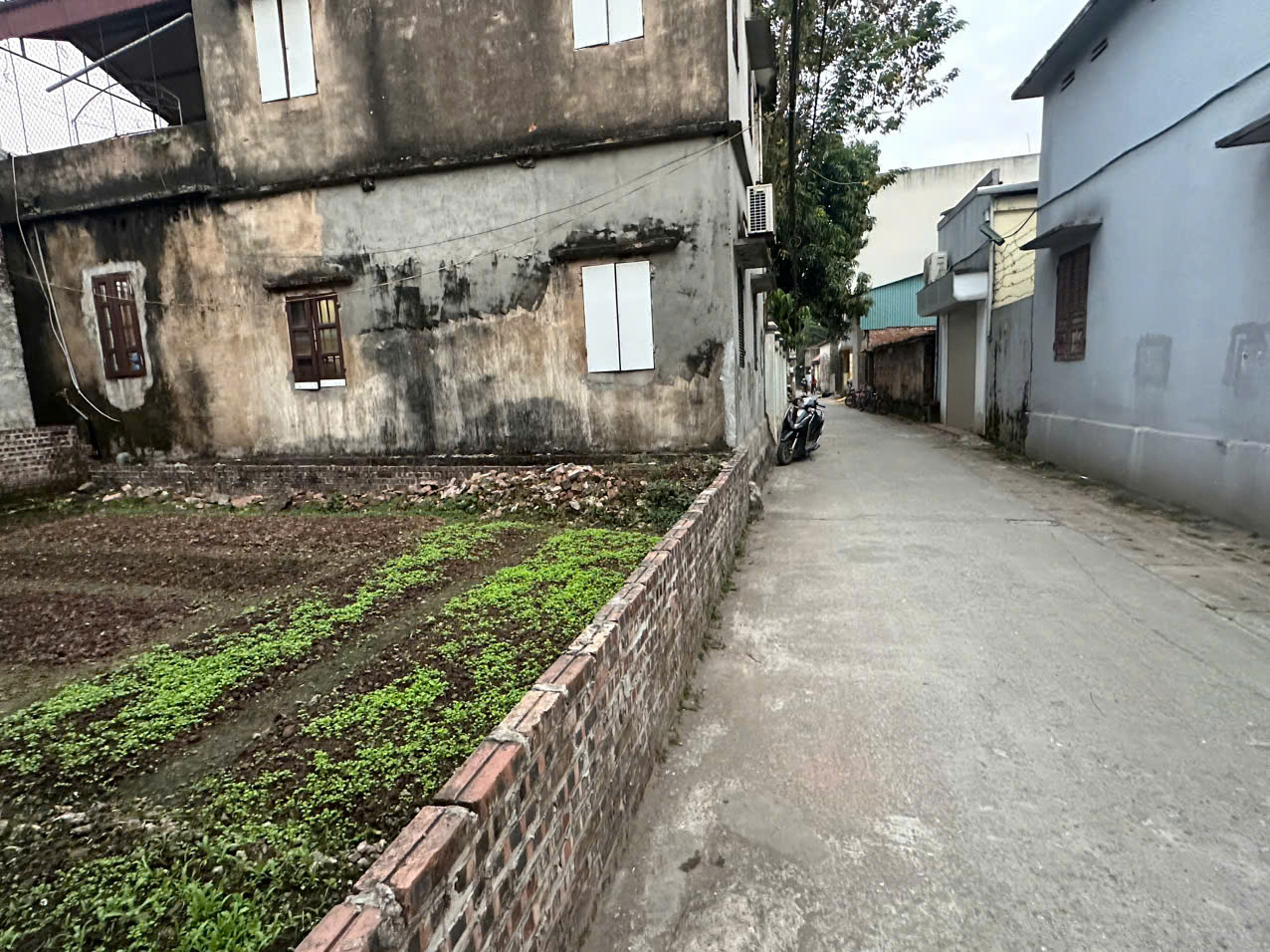 z7337715436818_ef046dca6b60d07e2378c5c85b7c24d6