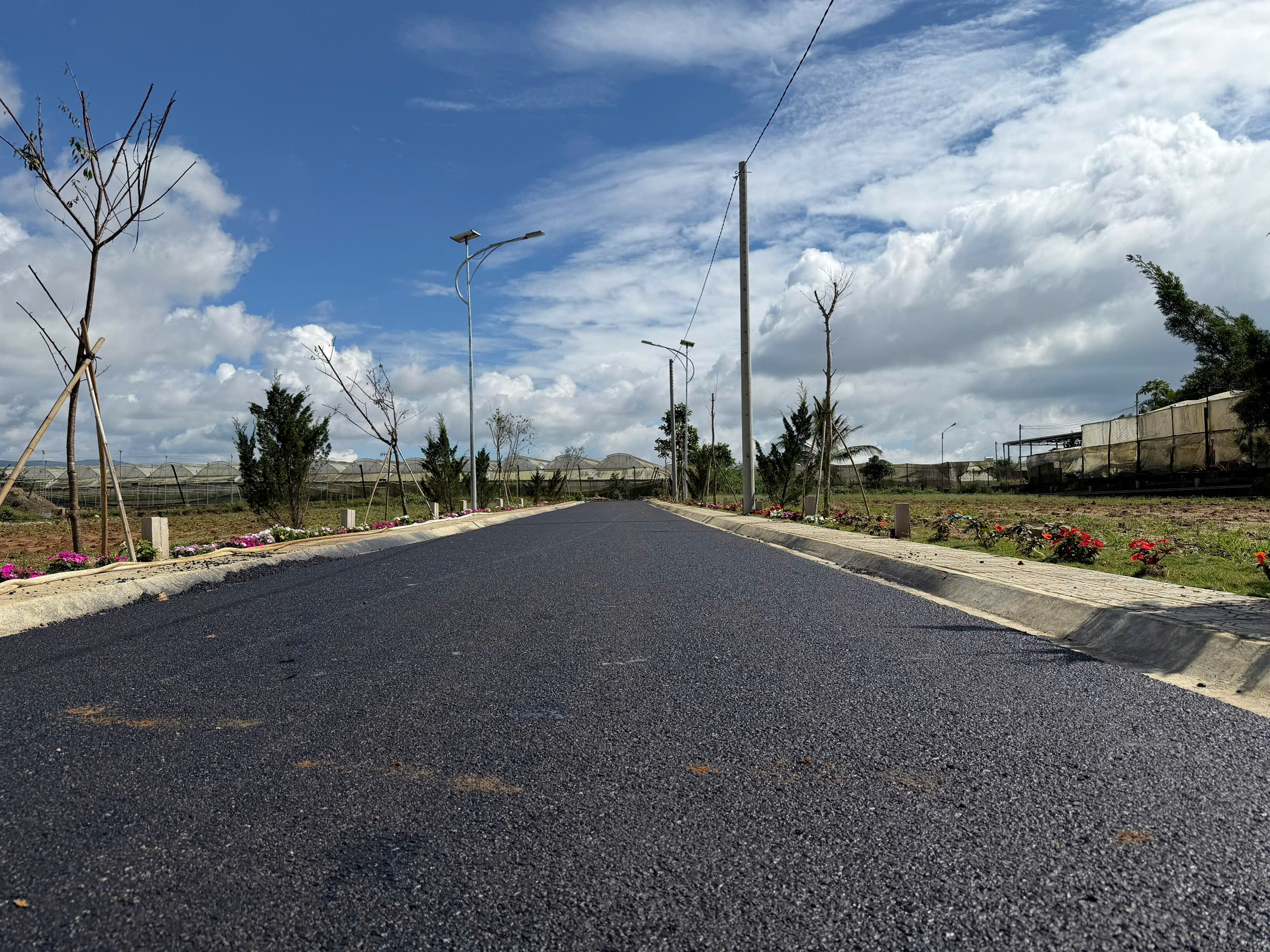 z7338493956313_699a78e75ab8c3ba960e5eca31750f6f