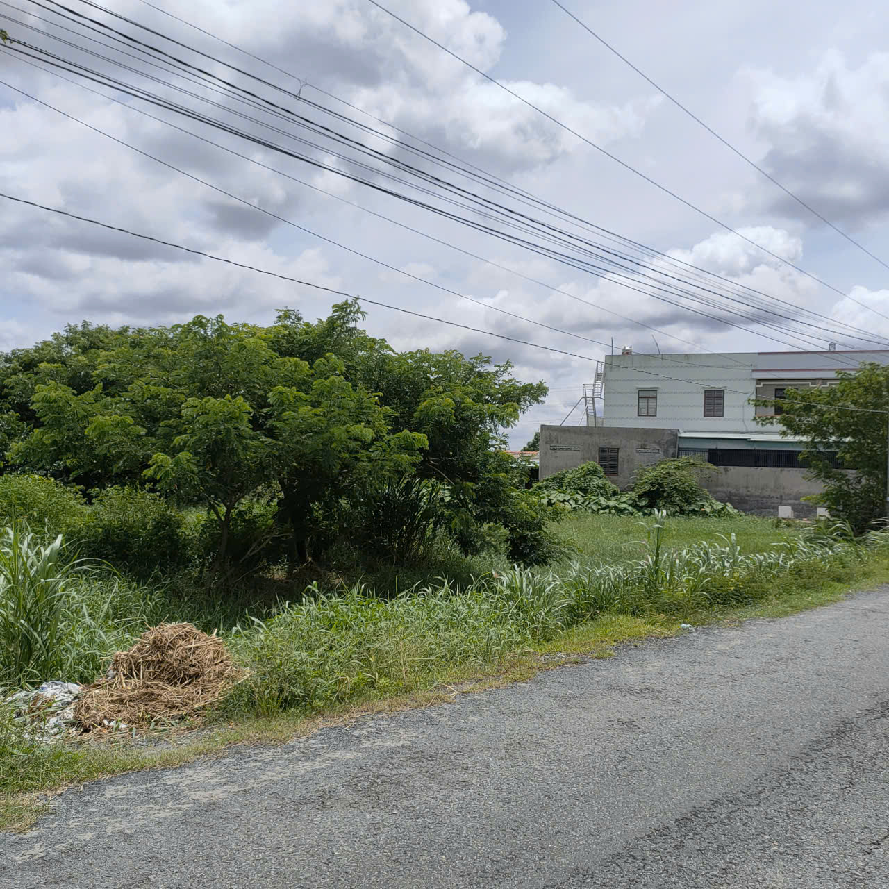 z7339968328884_e44b04a26c94e65d3041e1bf648d57c8