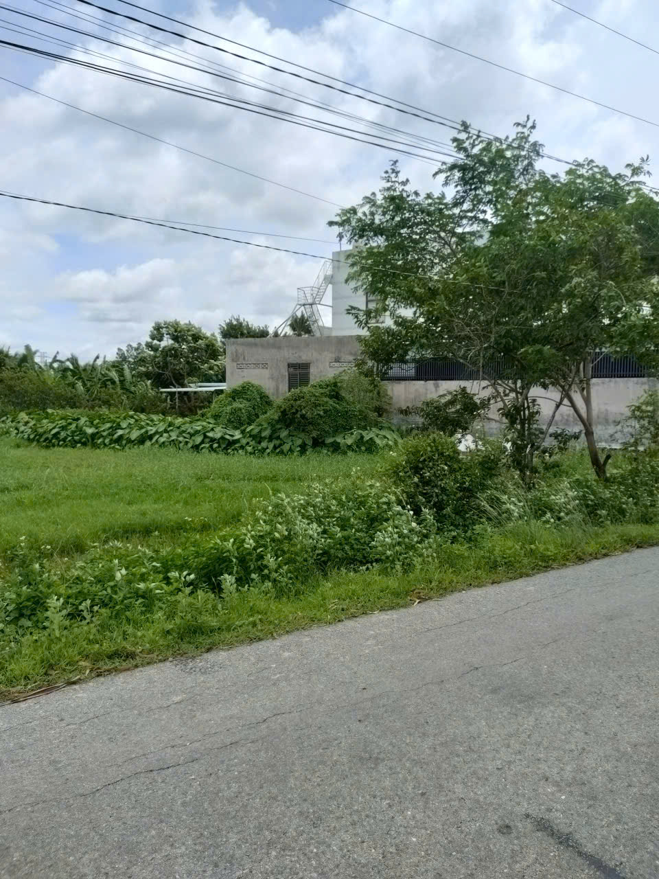 z7339968328885_9d8bc980045844857a1a771012b967f7