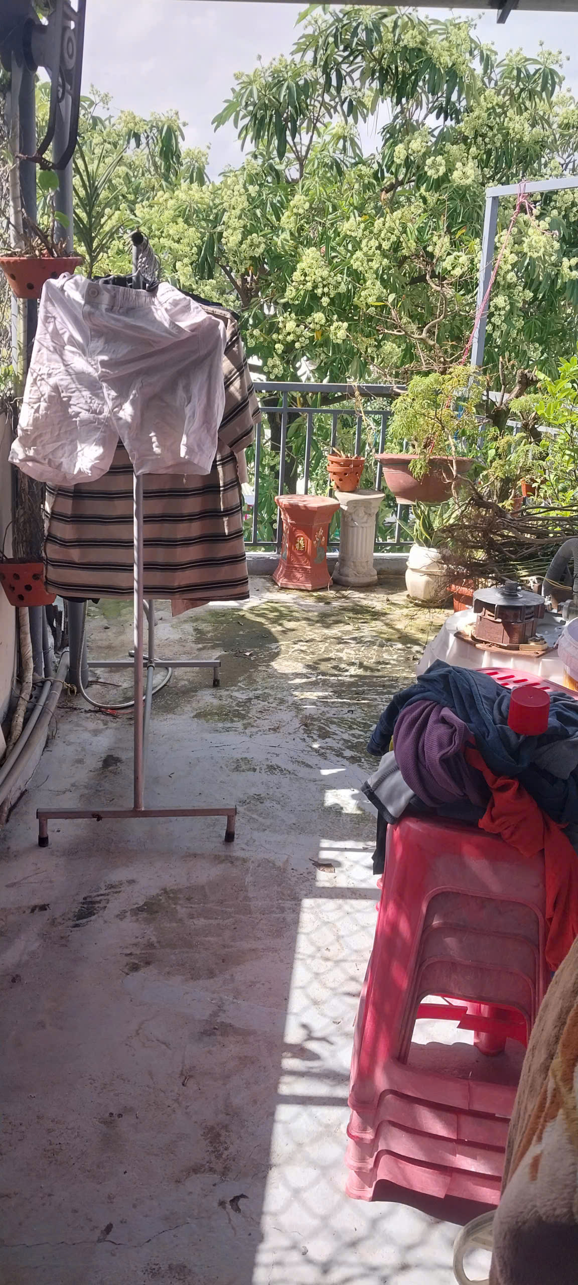 z7341593339773_f041b87eafc96582a067932d1b0677fd