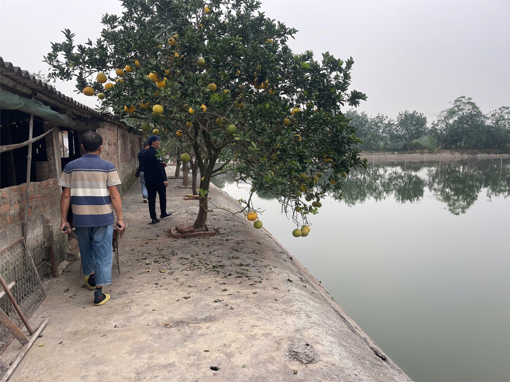 z7344548822318_244b8e0a5d735224bc72b27a158141ac