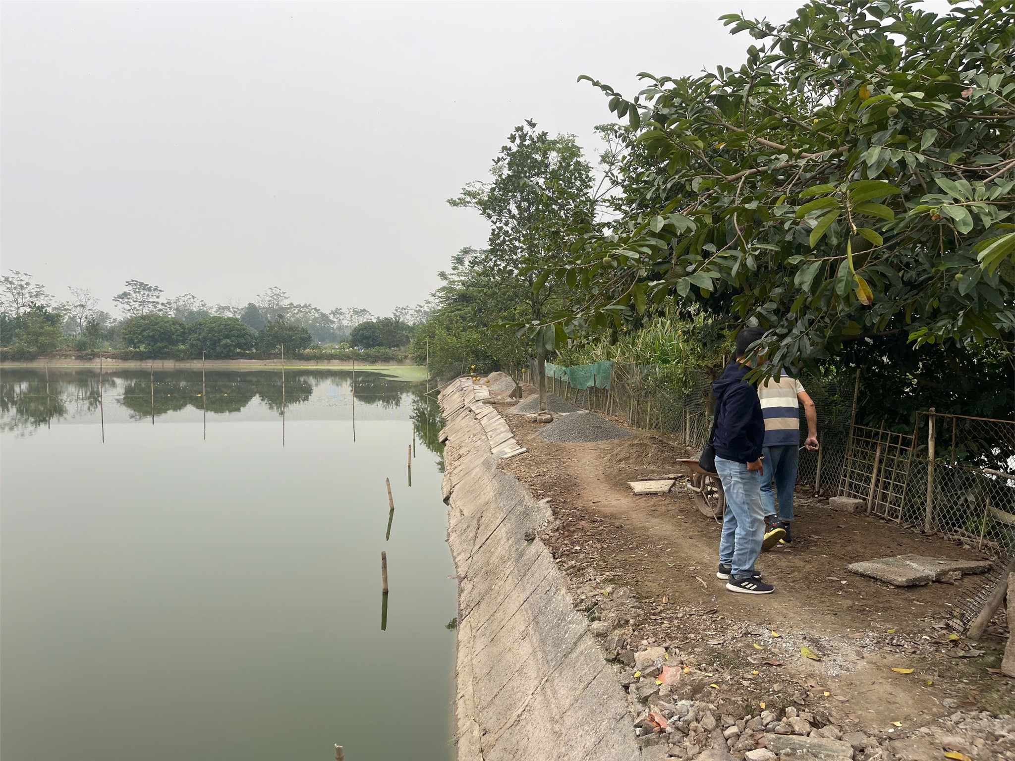 z7344548824489_e1183c177f721ba02b64ee3e4fb58a79