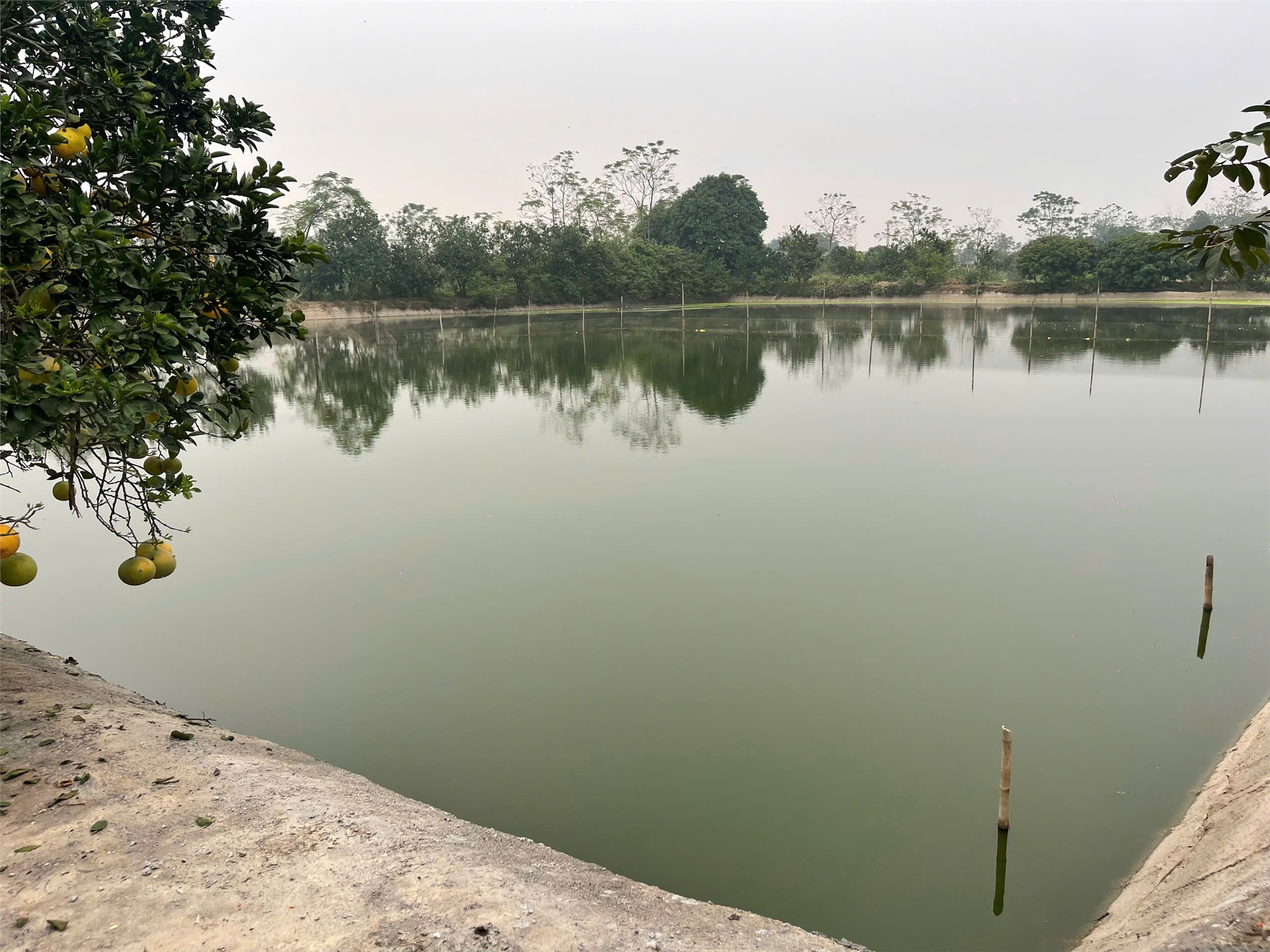 z7344548829863_00e3049605ddb1a505d94eab5ba02b6e