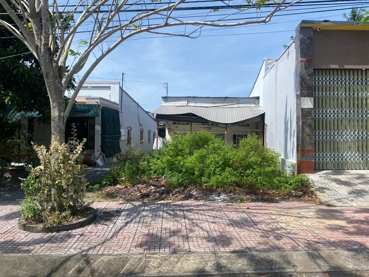 z7346569124862_b13c76728c48c33e97e034618b604a69