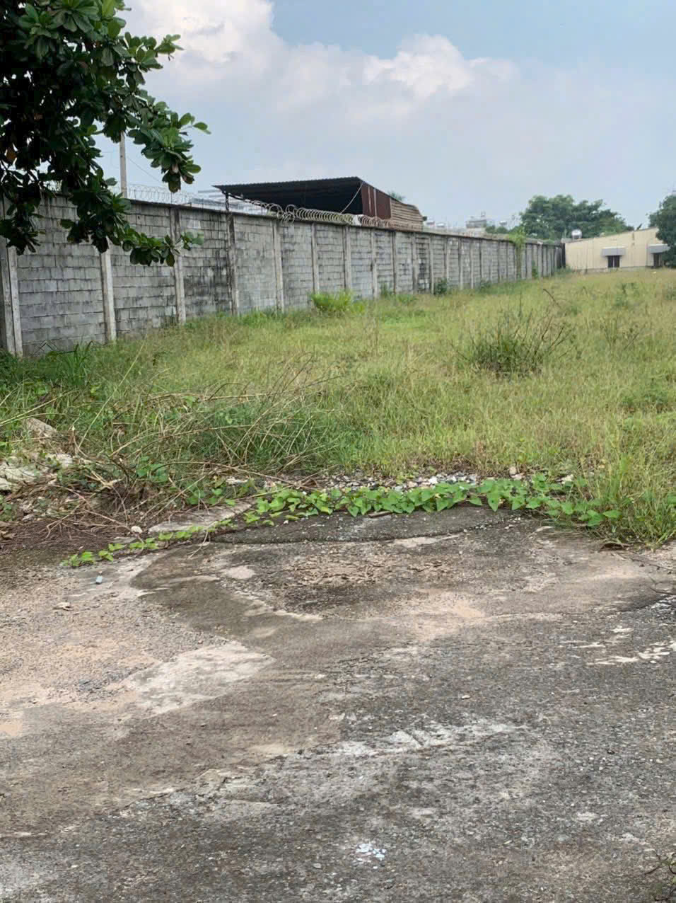 z7350366672752_1ebfa86a5c1034d107f37684b31e6411