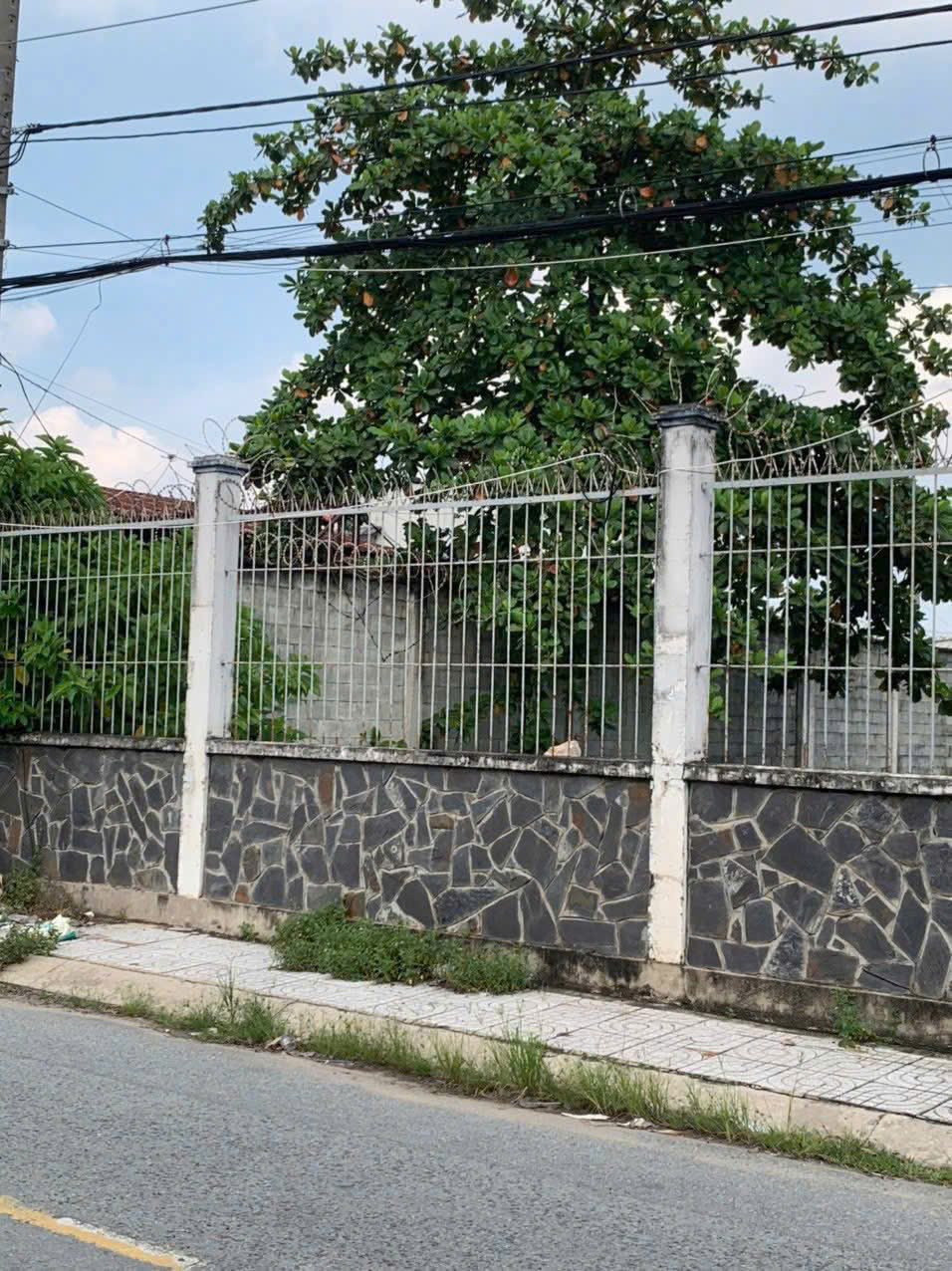 z7350366708938_893894f88f6f06736b272fd32e043218