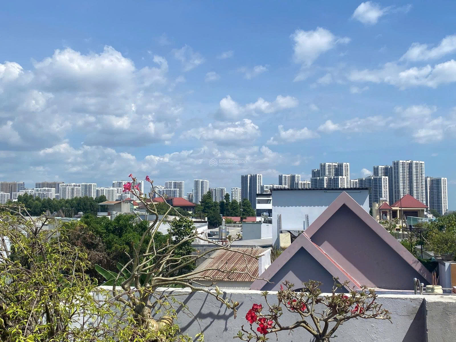 z7352966150449_95da4ee4029cc05cdea9f82de3b75dc6