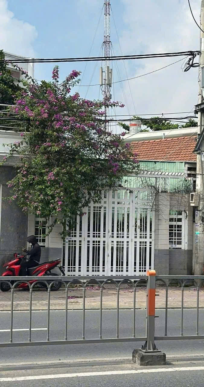 z7358349760012_1fde5ff9f93ca20e68a20af22a6d9456