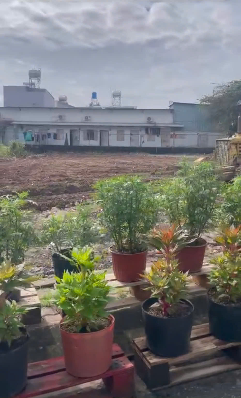 z7367860088592_e1a392e939e465c80e0c78315c6e45e7