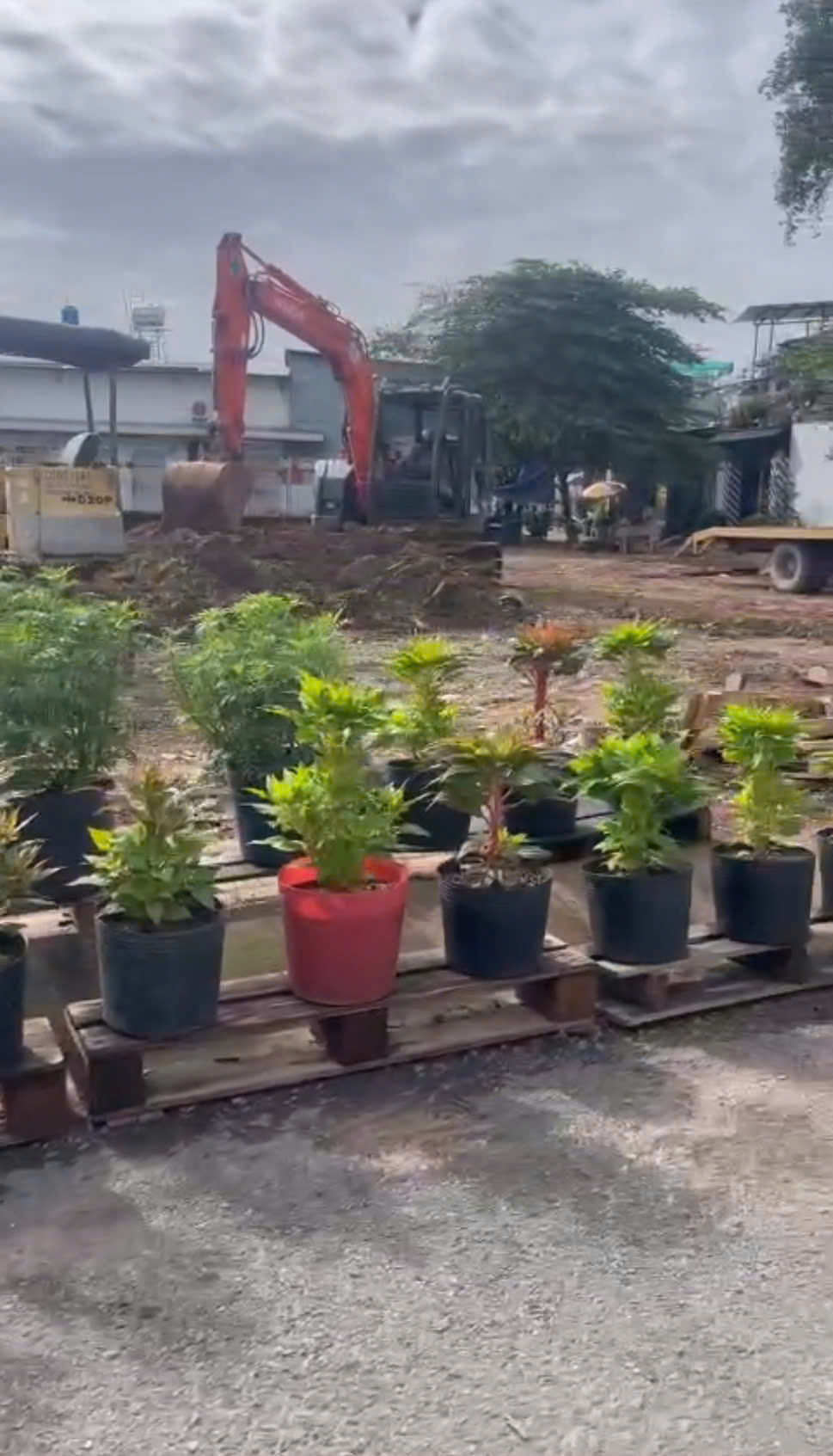 z7367860094039_ea2a81258d6a30408cbdd445be483935