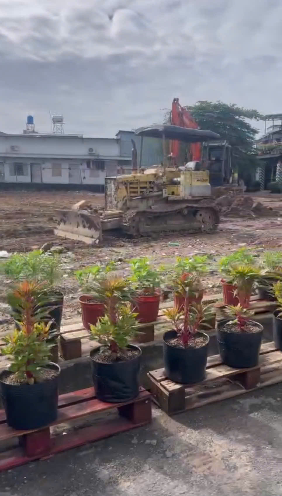 z7367860105667_a884235a615a0721375d9d45caf4b02b