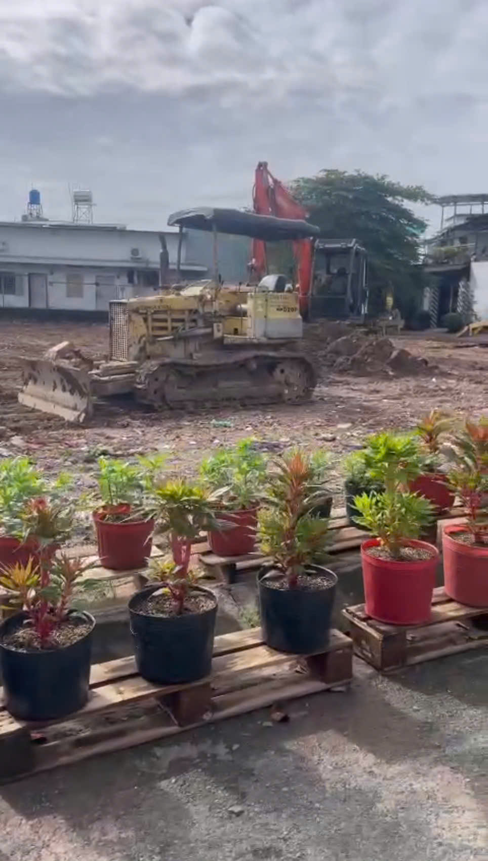 z7367860117326_5fb27747a5b639d31ff64892cb310f92