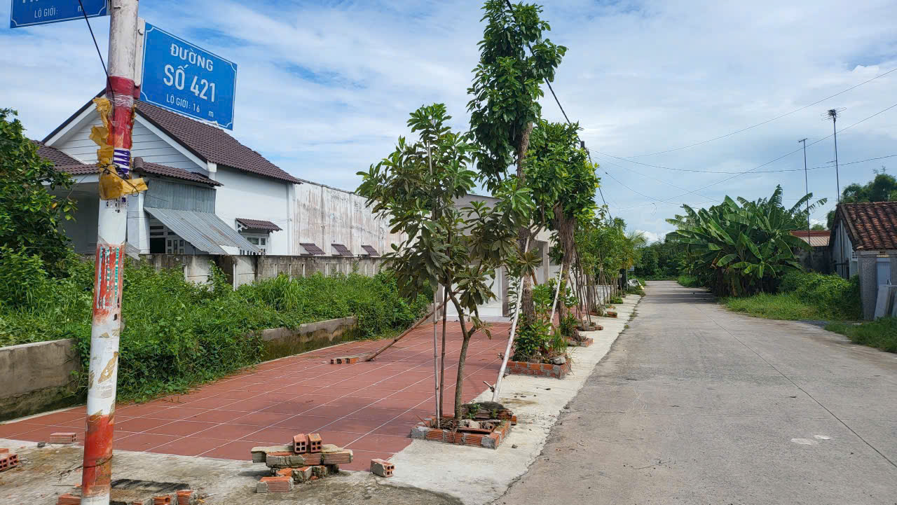 z7372343310738_085128b02af166231447104253983de8