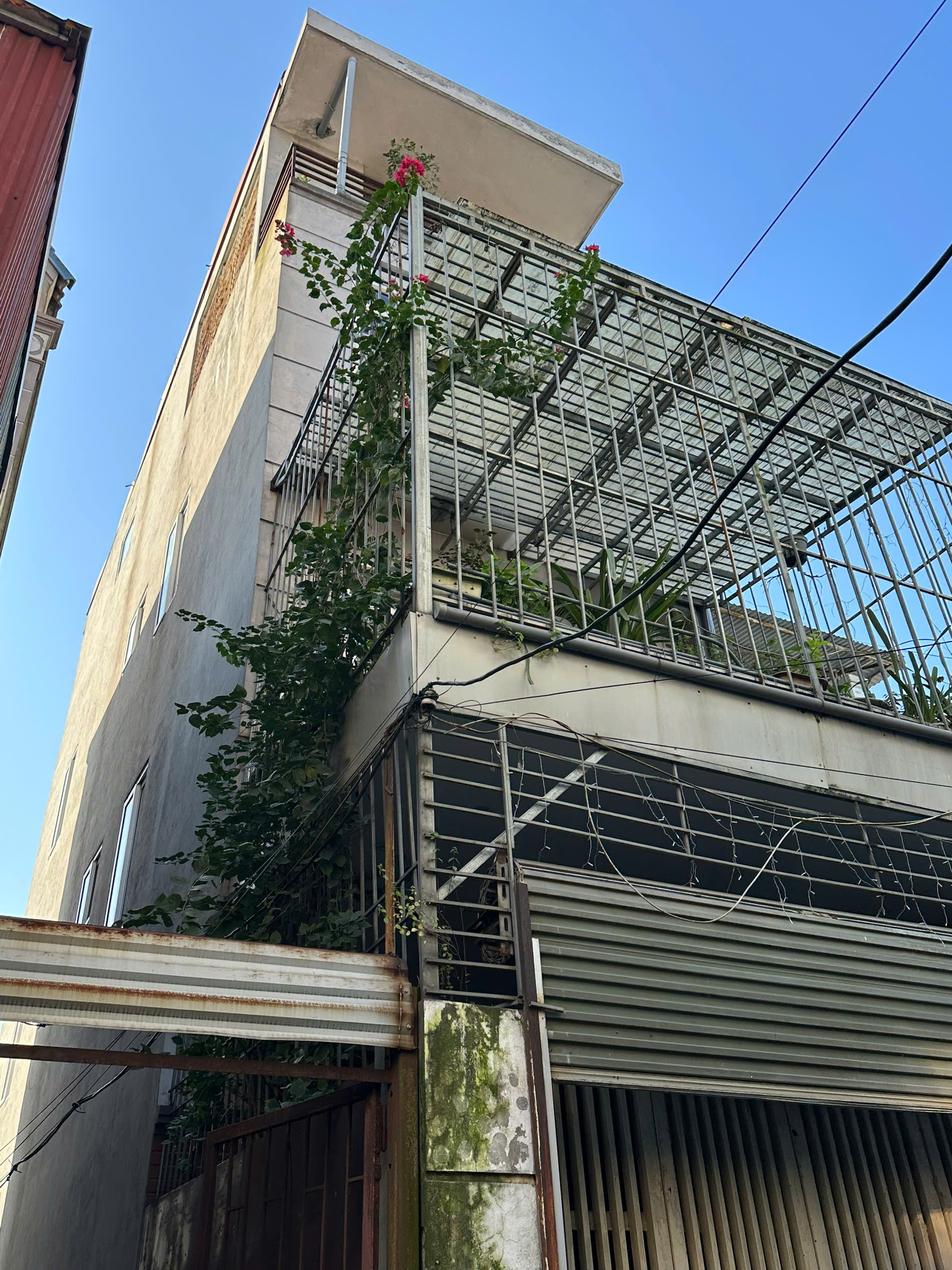 z7372674267406_bb2d3dc831401584018368e404885e2f