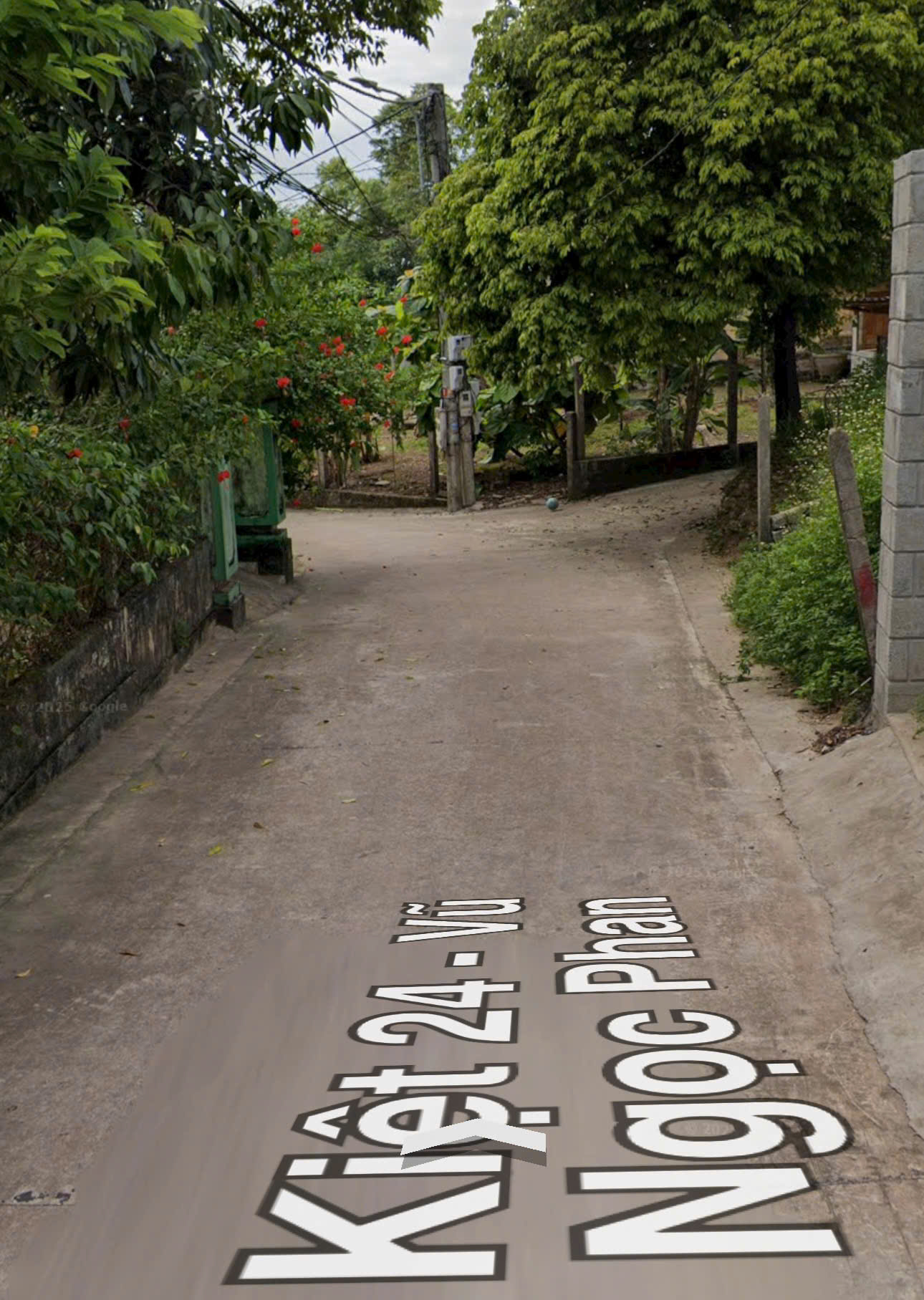 z7373834945311_1f411511e1875afddf749b3892aef086