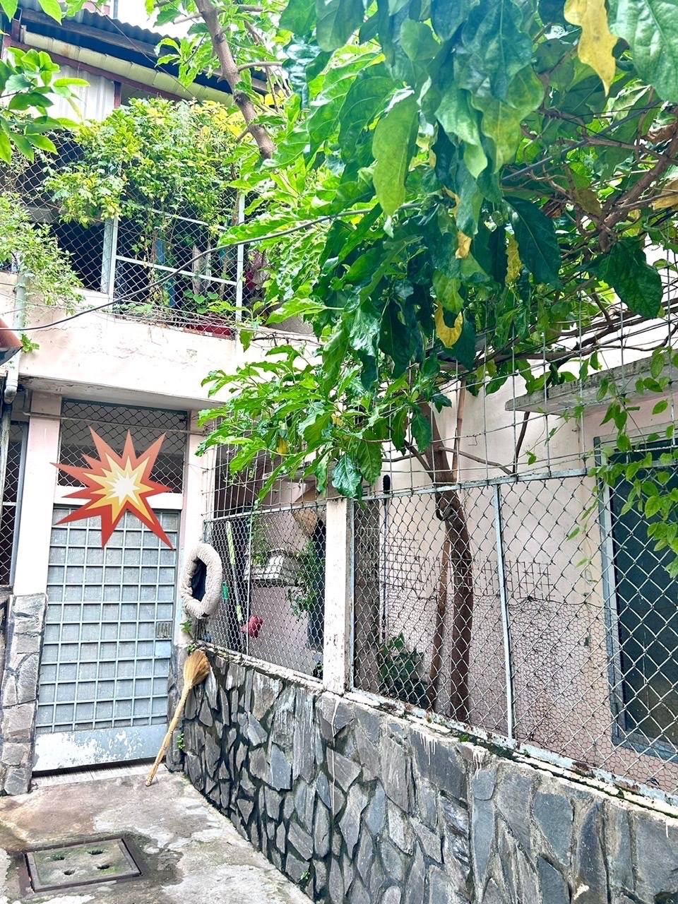 z7377852255590_d30bf98816ca0fed6736d14aa6a06bc9