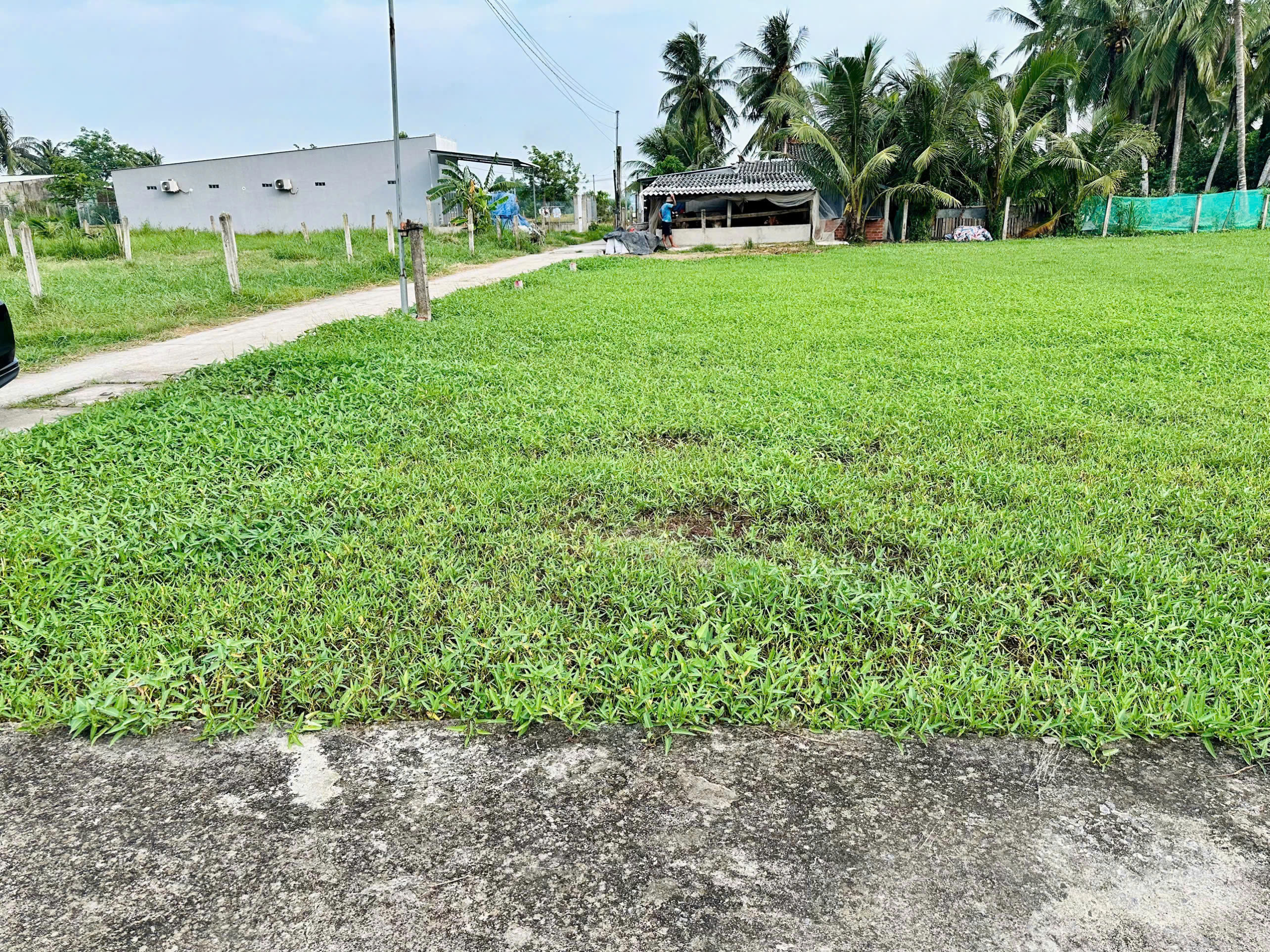 z7379061491962_31ae6ec1733e557bbb574d712a6007c2