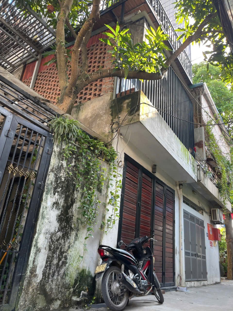 z7379390583188_5115a6c142063fbbfc06c22dd5be03c8