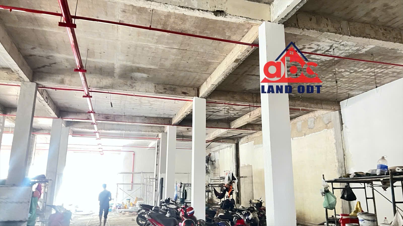 z7381868157005_aa76897910ac24a37f3a8c695804aaae