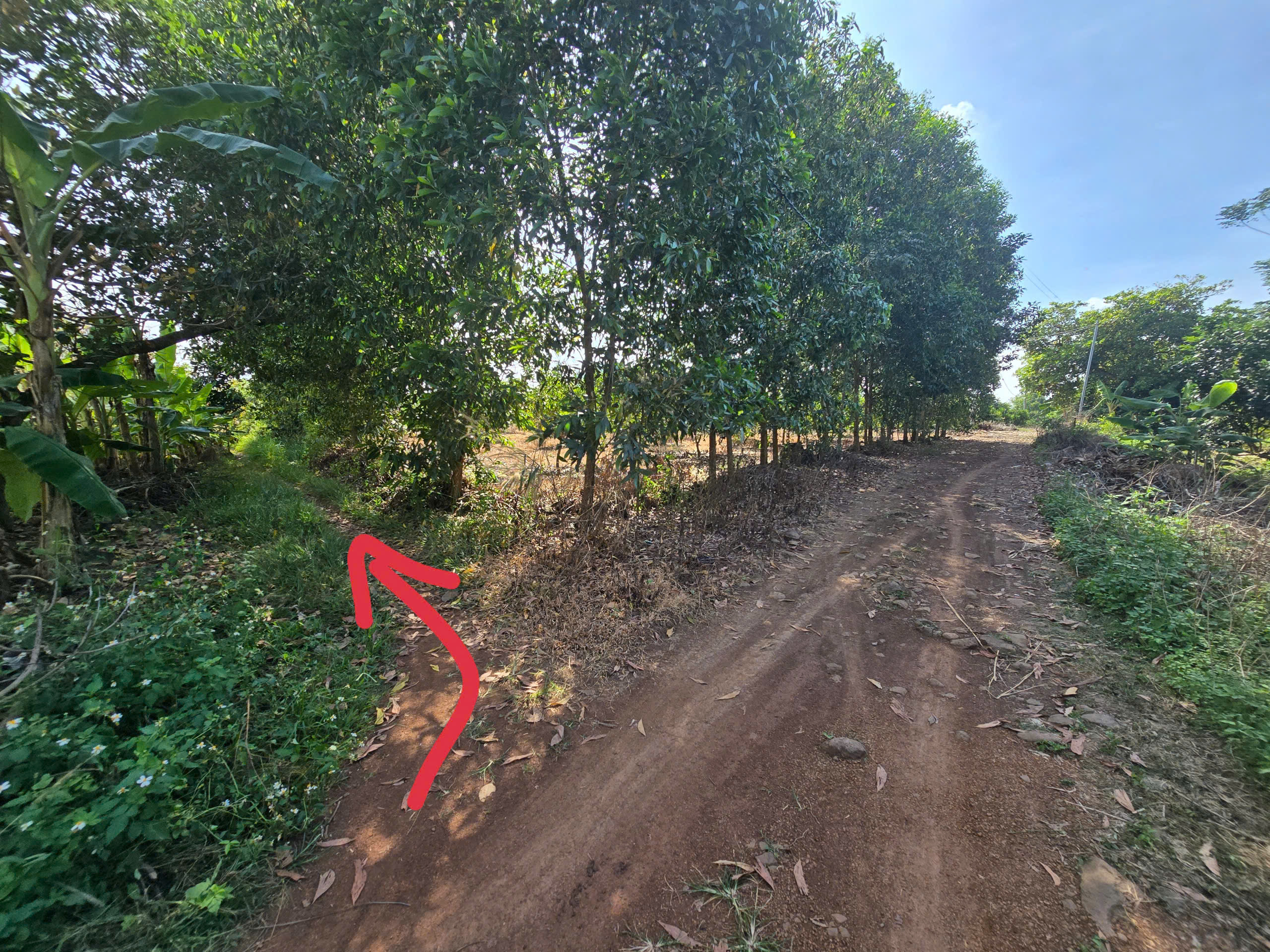 z7383048679722_495d25bbbcf9bb245de8b24430a27ce5