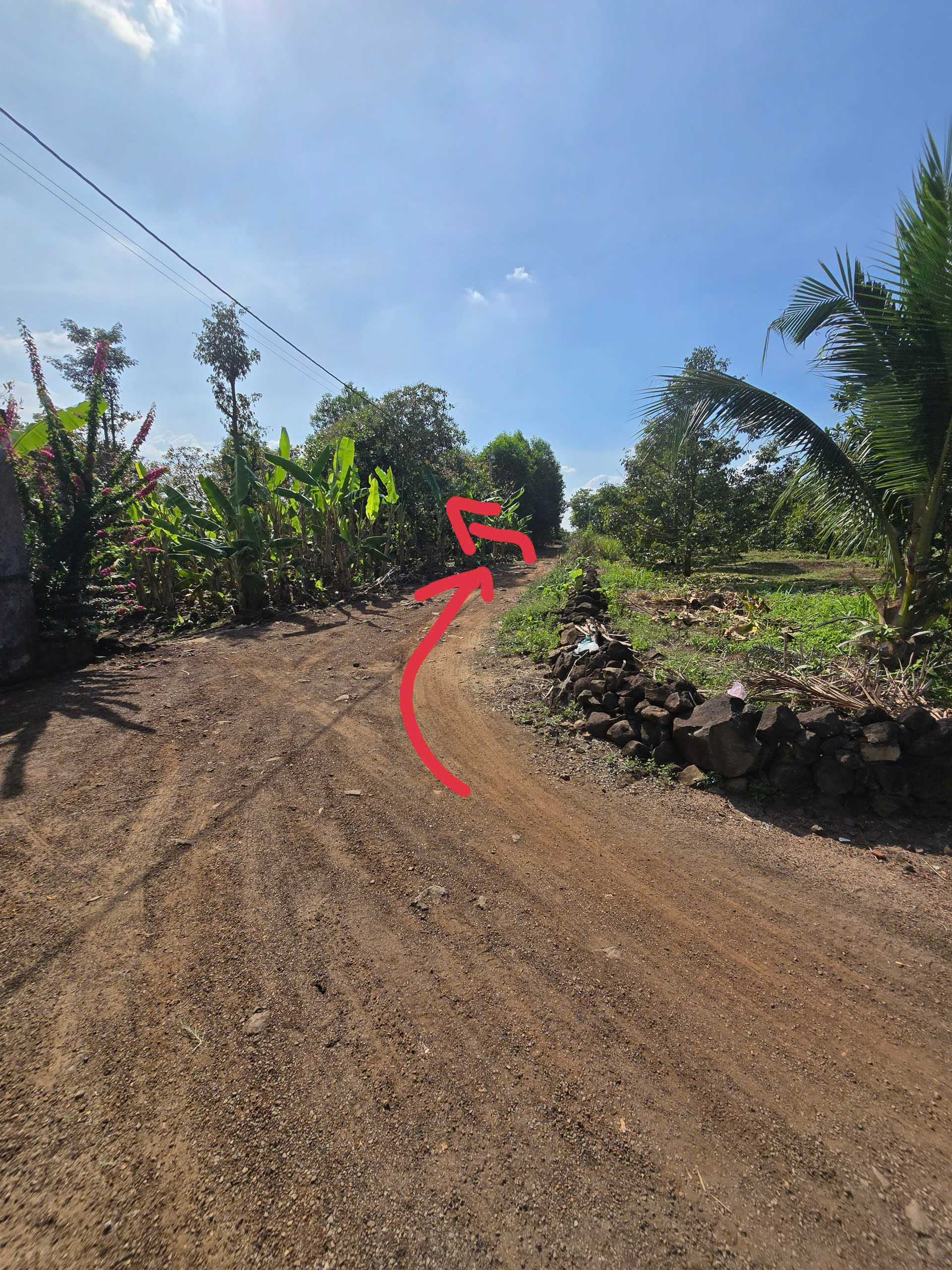 z7383048683233_b8179e3d4ee2160d0e412ee96d413aef