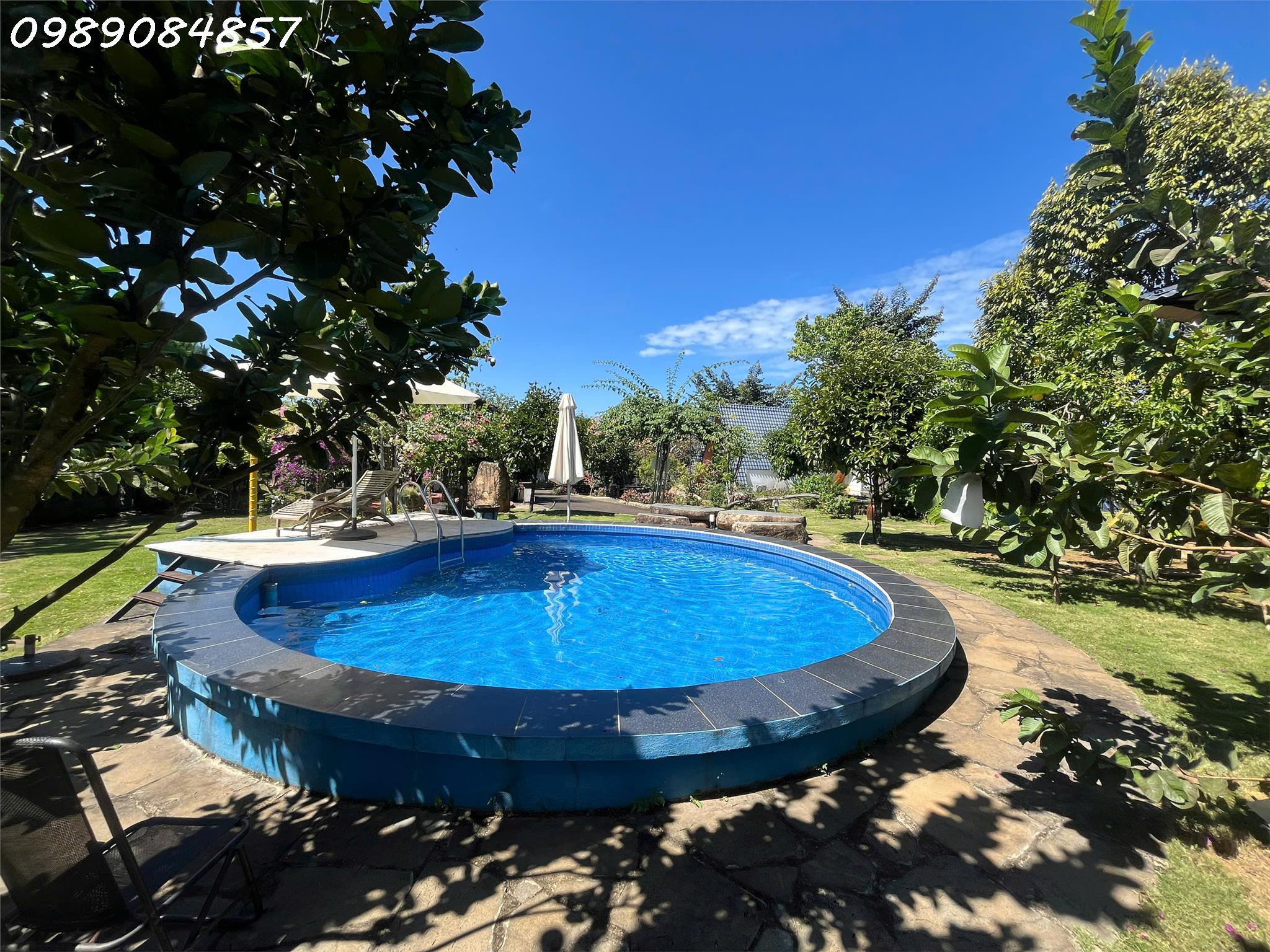 01e1362b-64e1-4588-84f2-1f9fb7eb26c6