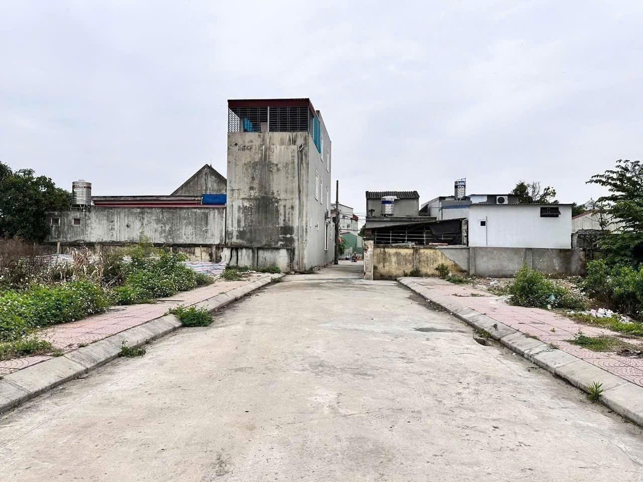 17420406282599390262