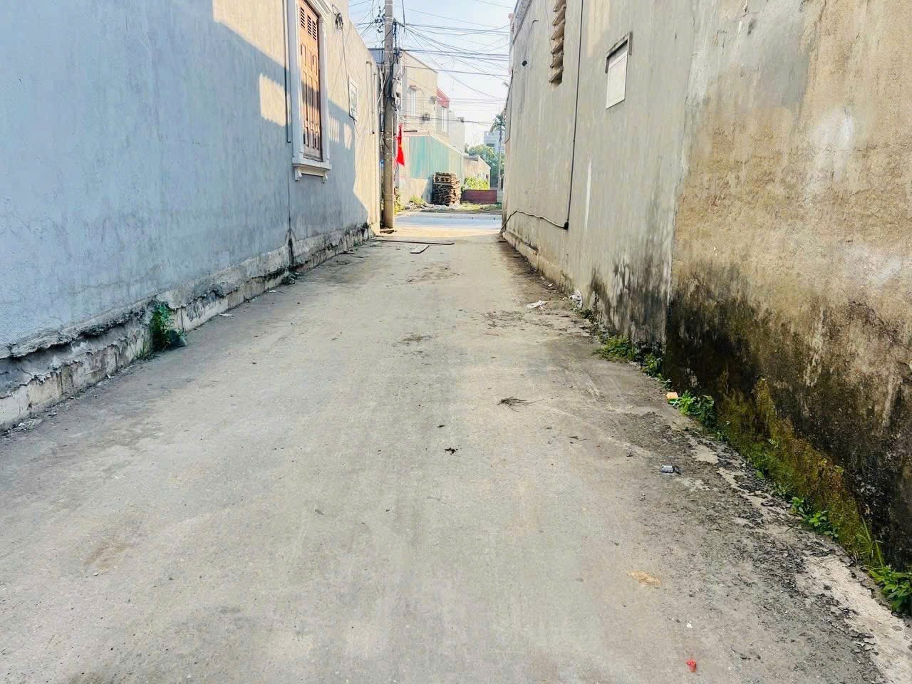 17420406282599390265