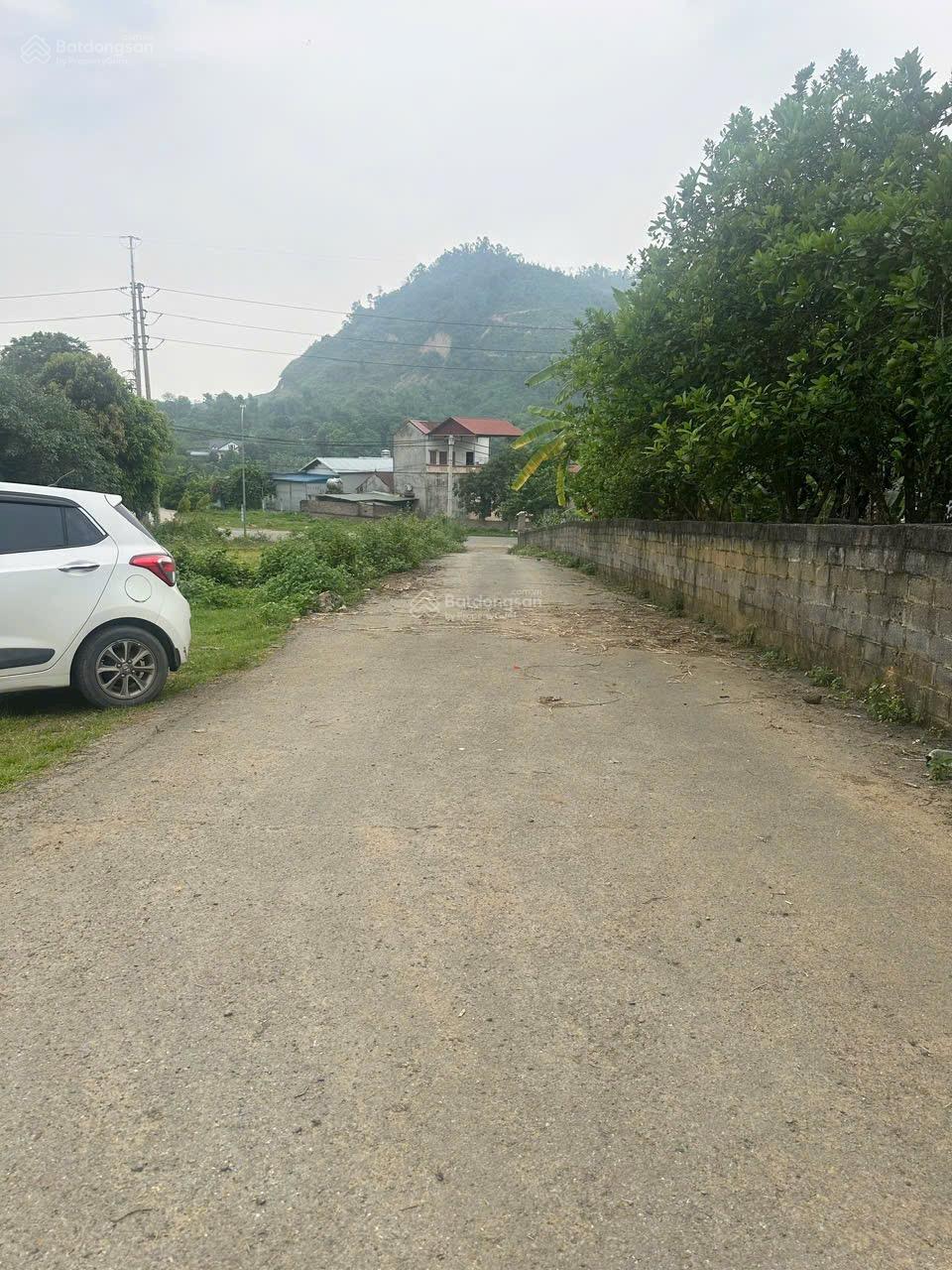 20260126194256-16d6_wm (1)