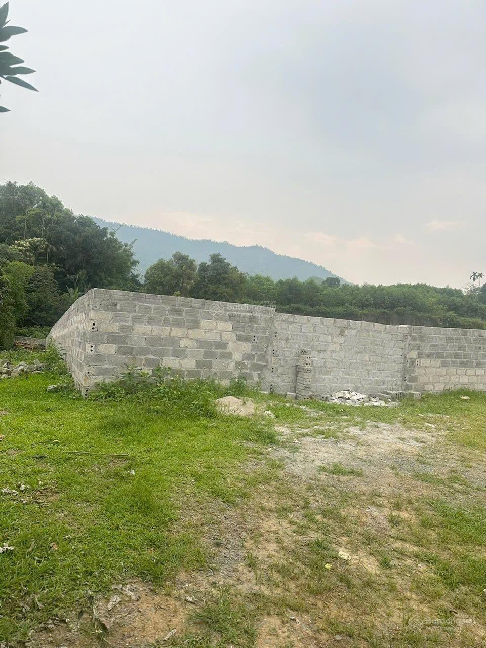 20260126194256-52d9_wm