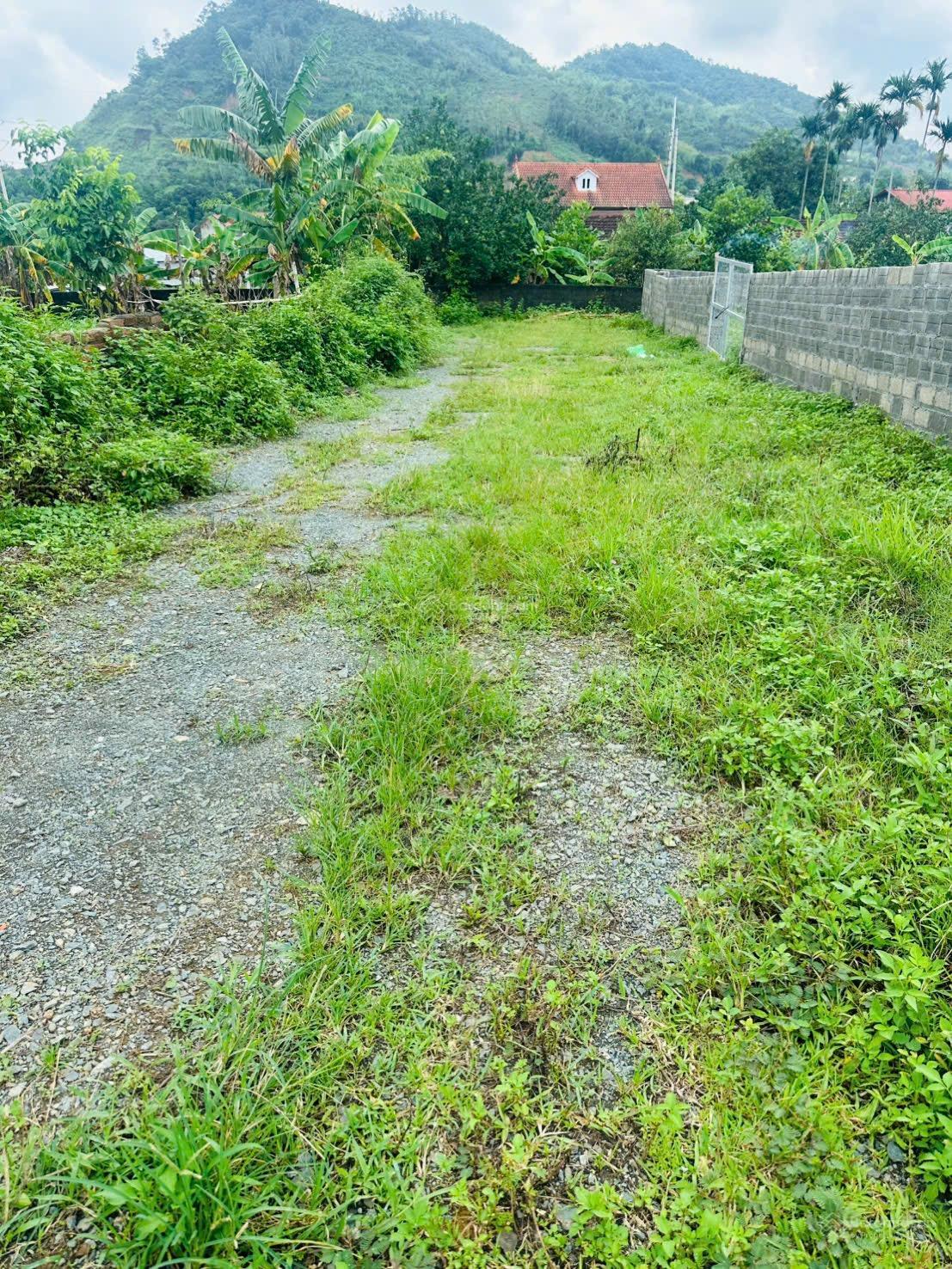 20260126194256-9083_wm