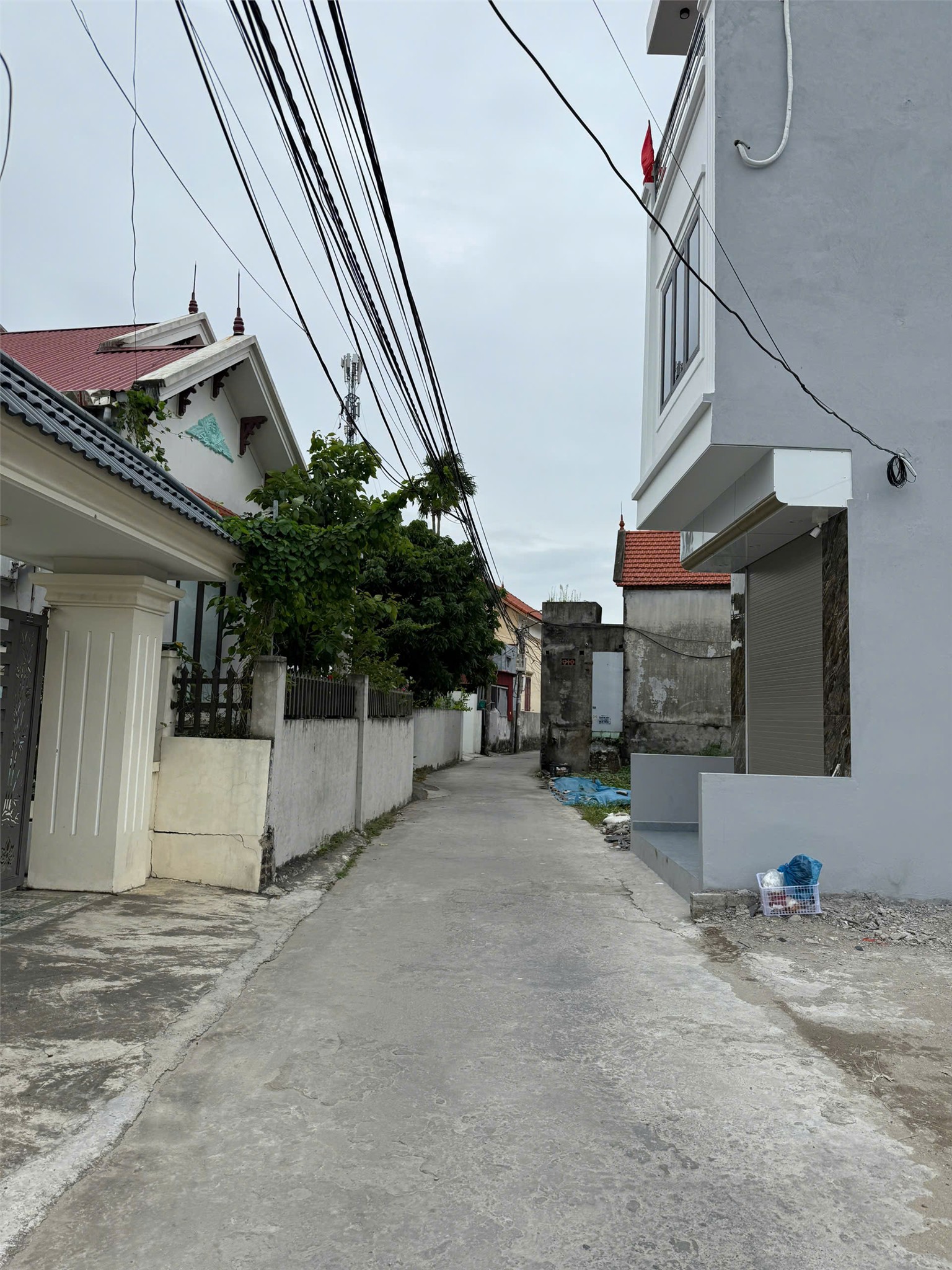 23443792501763344587