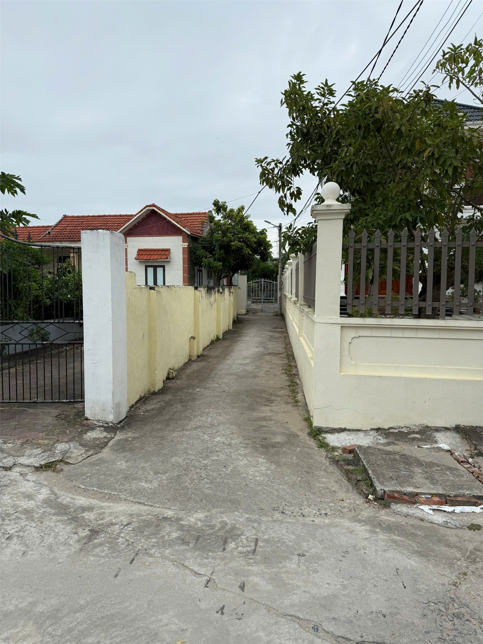 23443792501763344588