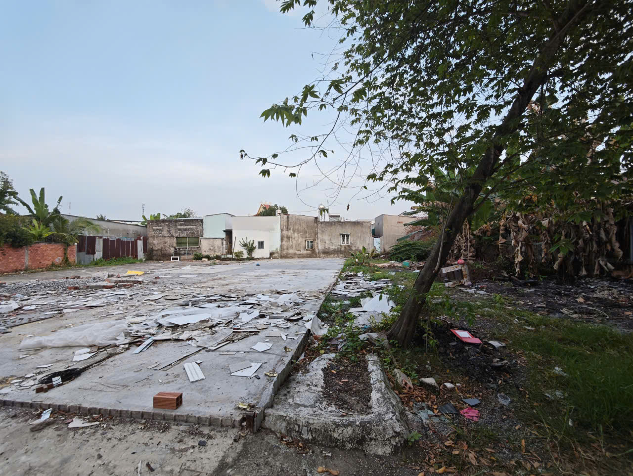 251721780587341755923