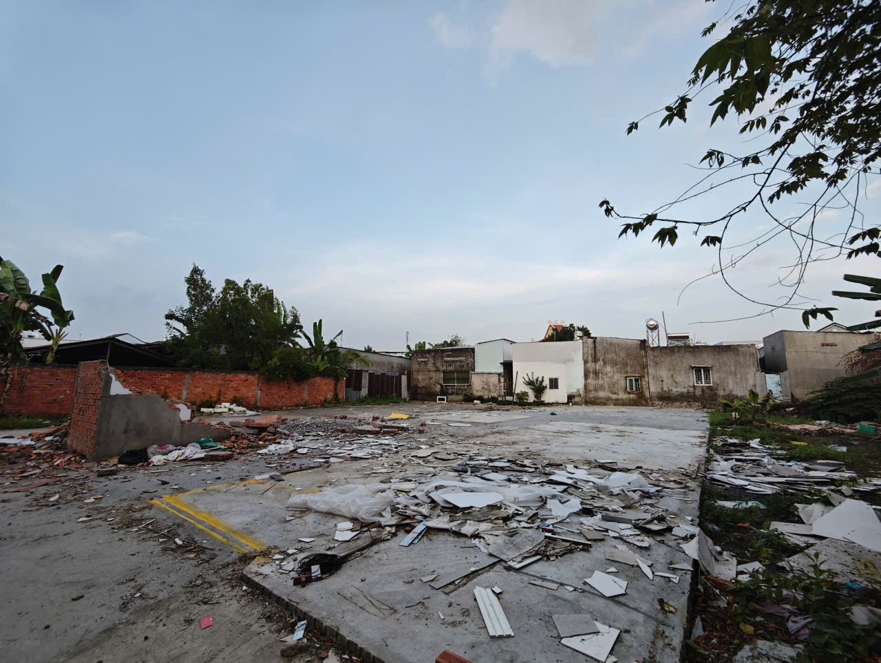 251721780587341755924