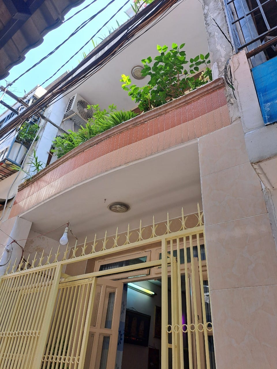 356842037_1972261353124619_4863510422132931884_n (1)