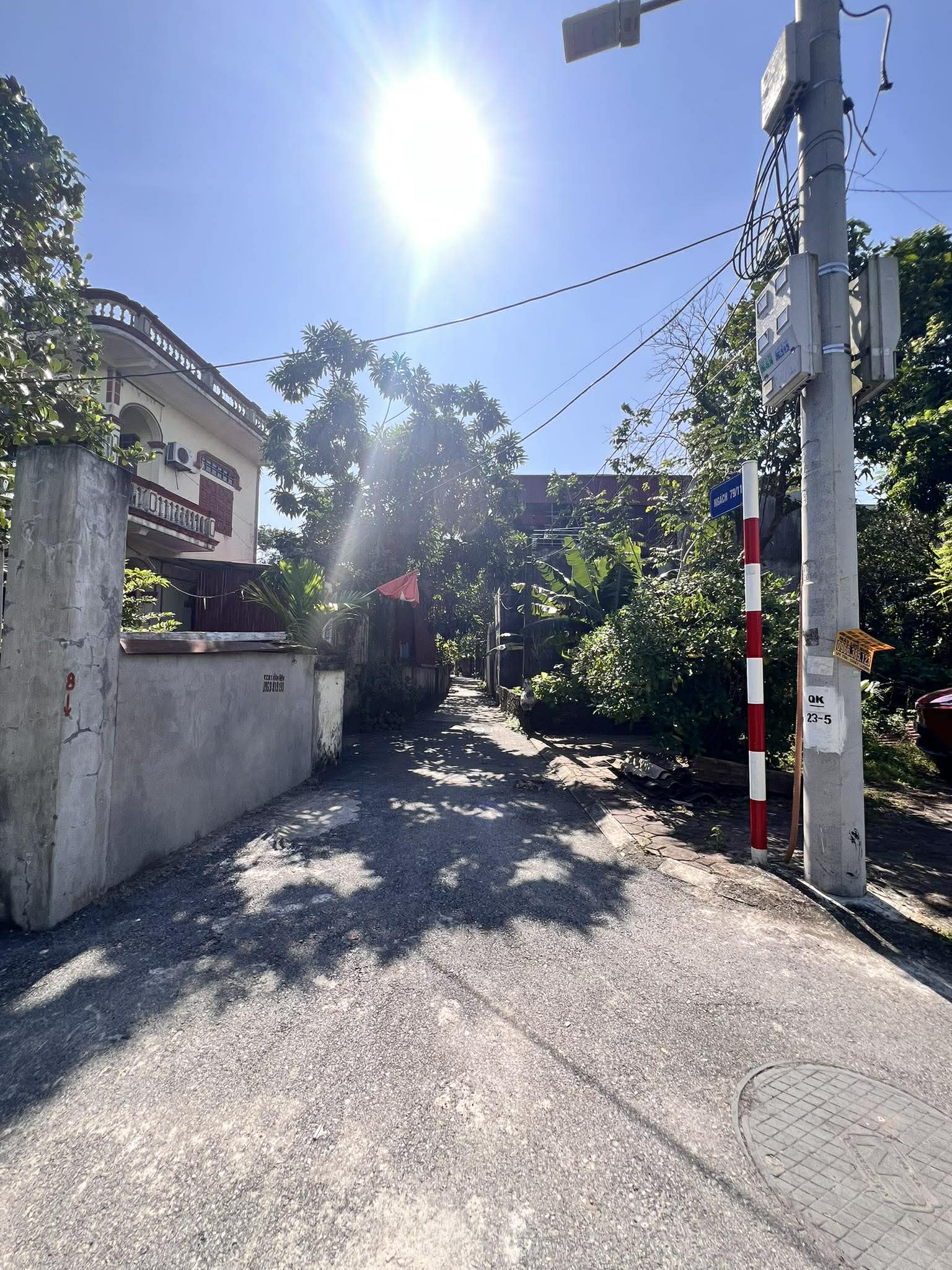 588612628_1570897054363670_8711464639308554295_n