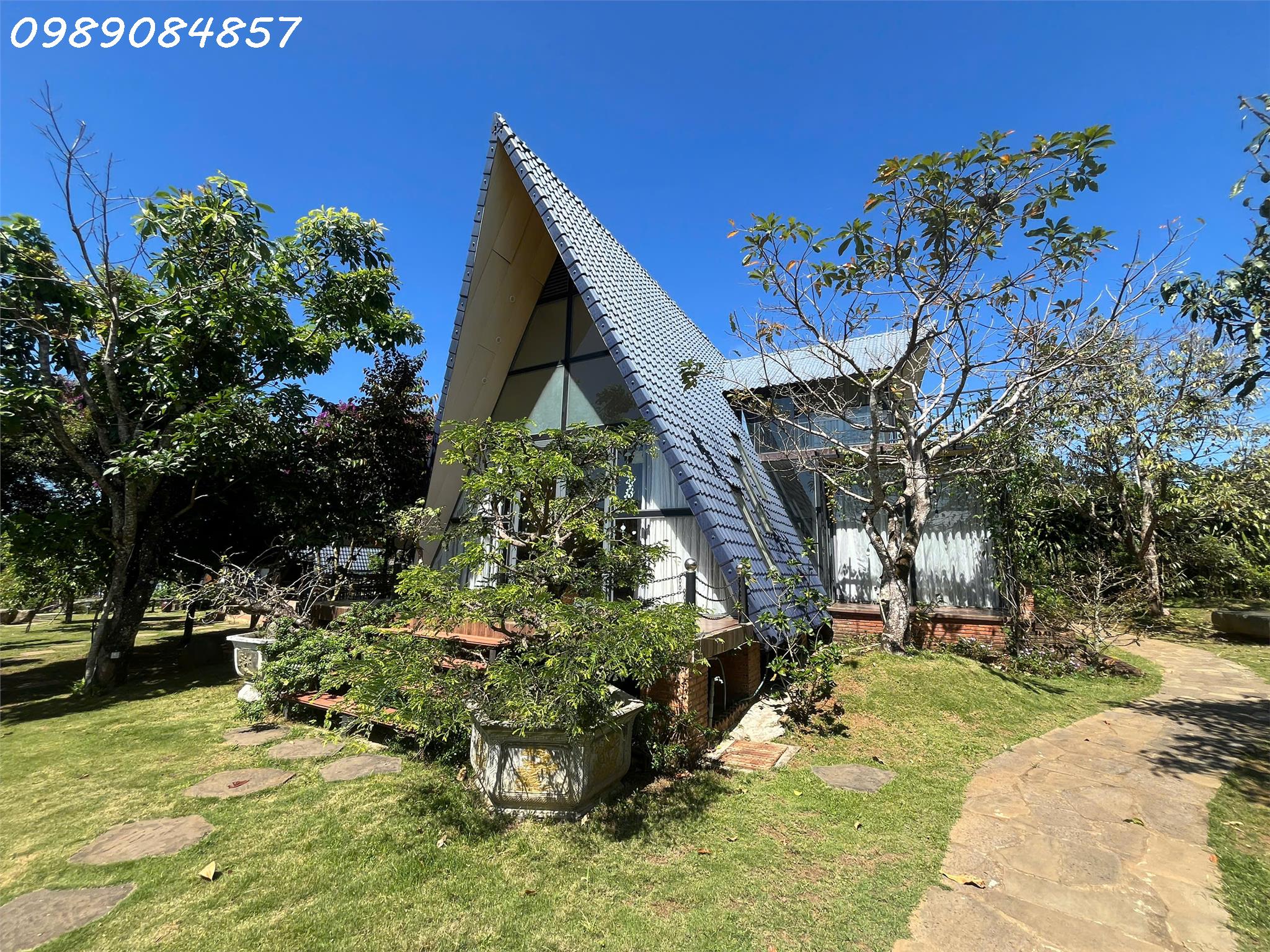 5cc76994-e89a-4274-8f31-24fac65dbc6a