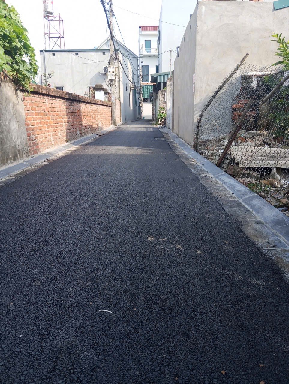 615827834_875376478630132_6150805048544424959_n