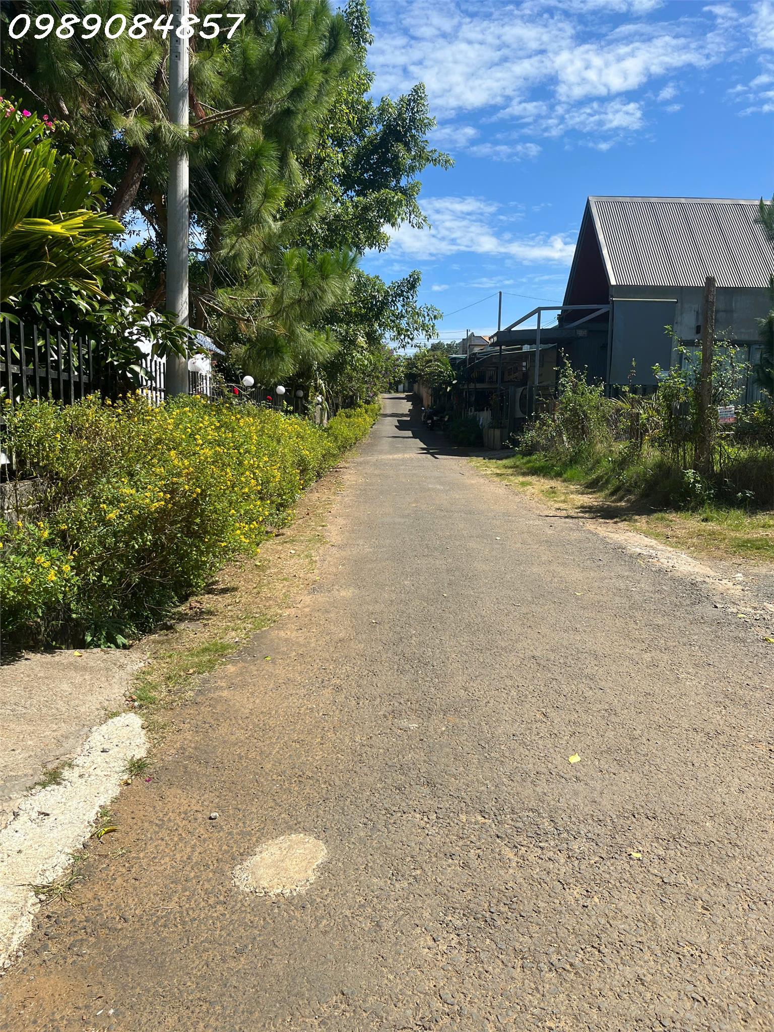 6d65597f-5d1f-4bcf-ac47-9f5fde8bd40b