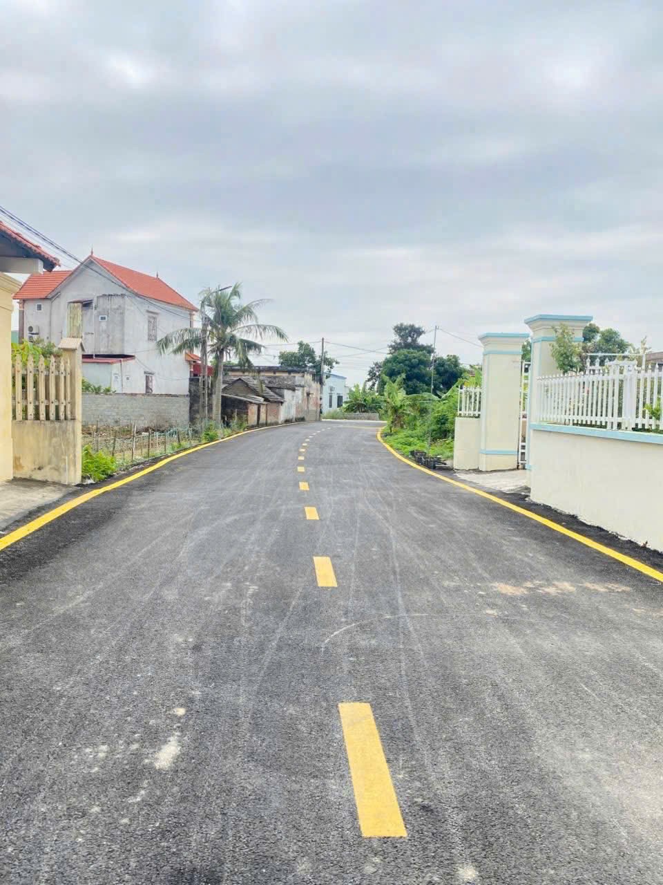 74161362943043692422