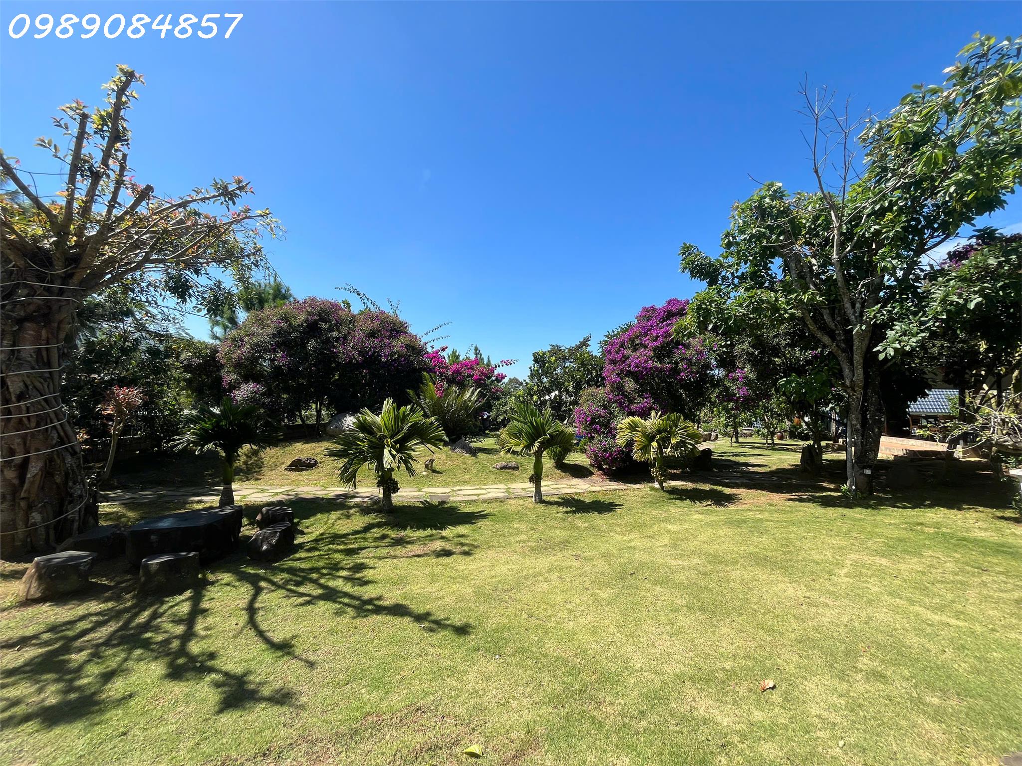 a7fcdb4e-4d73-4a32-86a4-e0836624dc3f